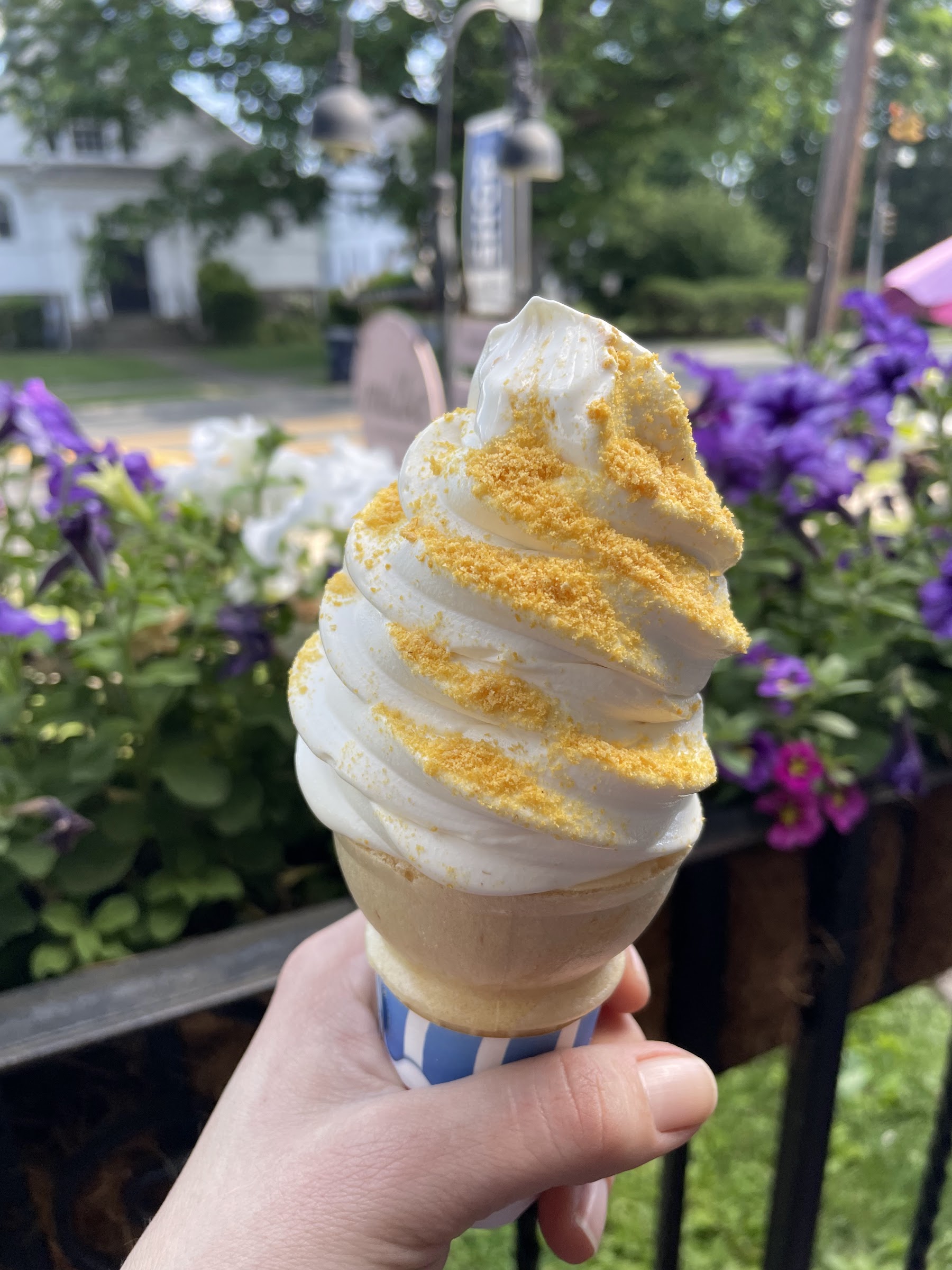 Melba Ice Creamery photo