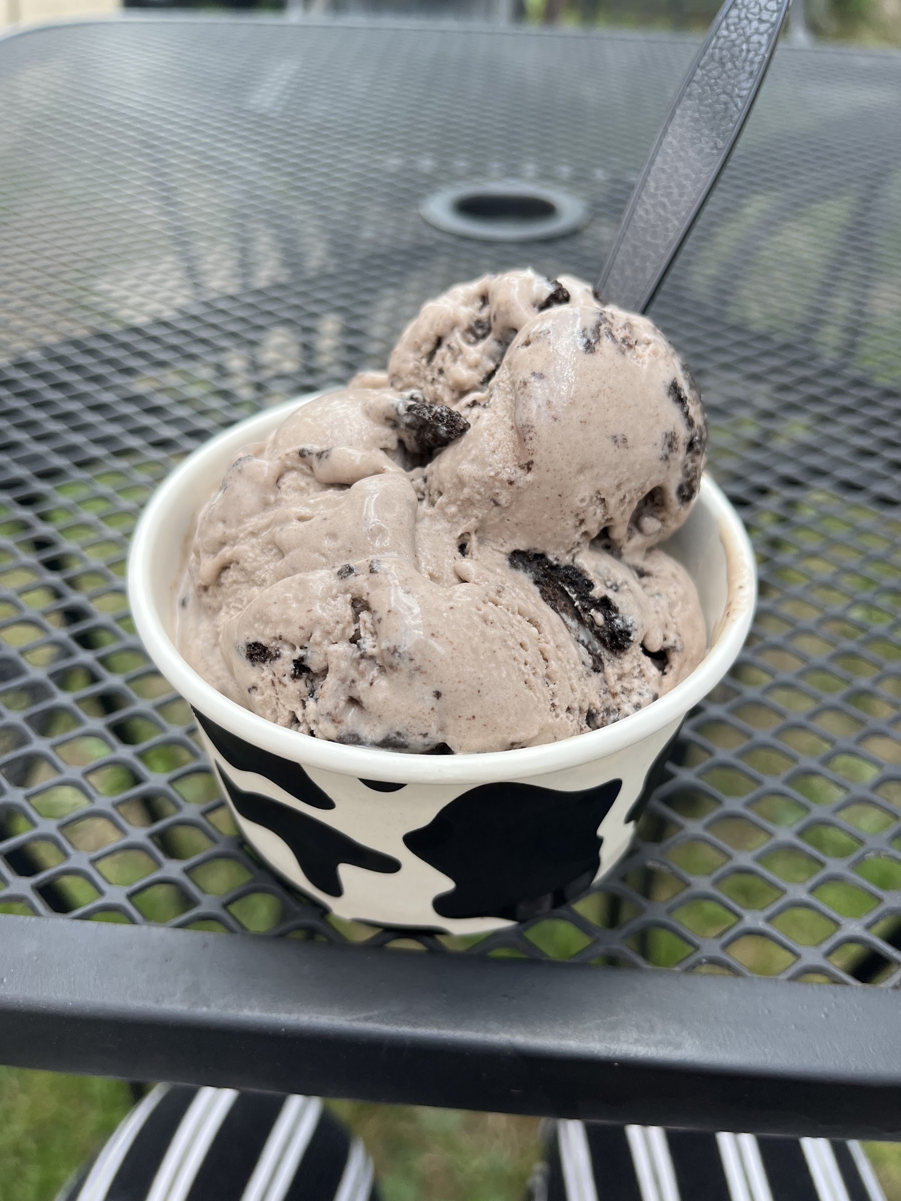 Melba Ice Creamery photo