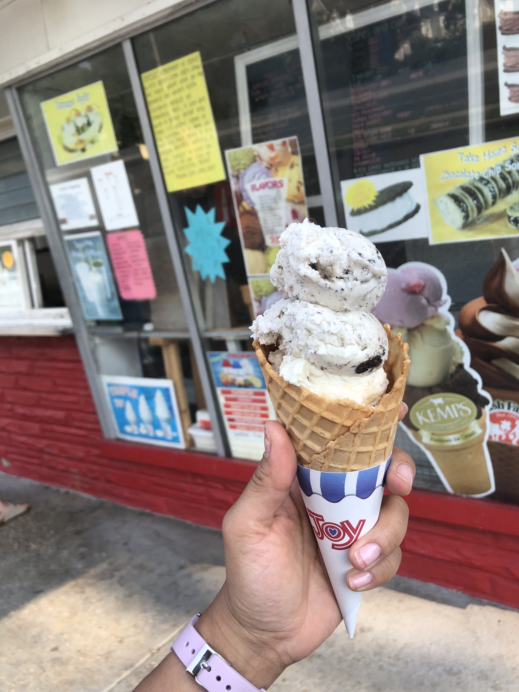 Polar Bear Ice Cream photo
