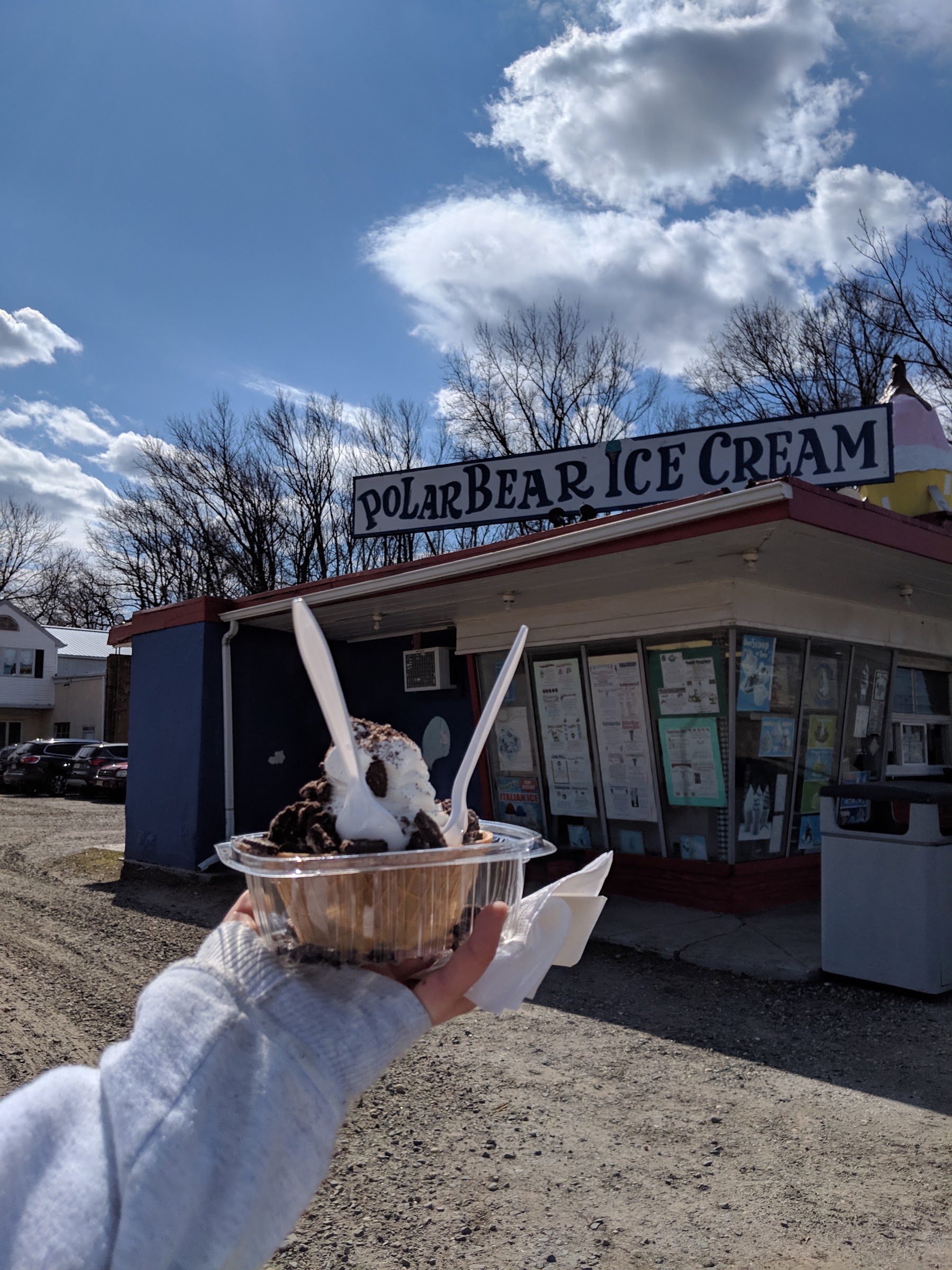 Polar Bear Ice Cream photo