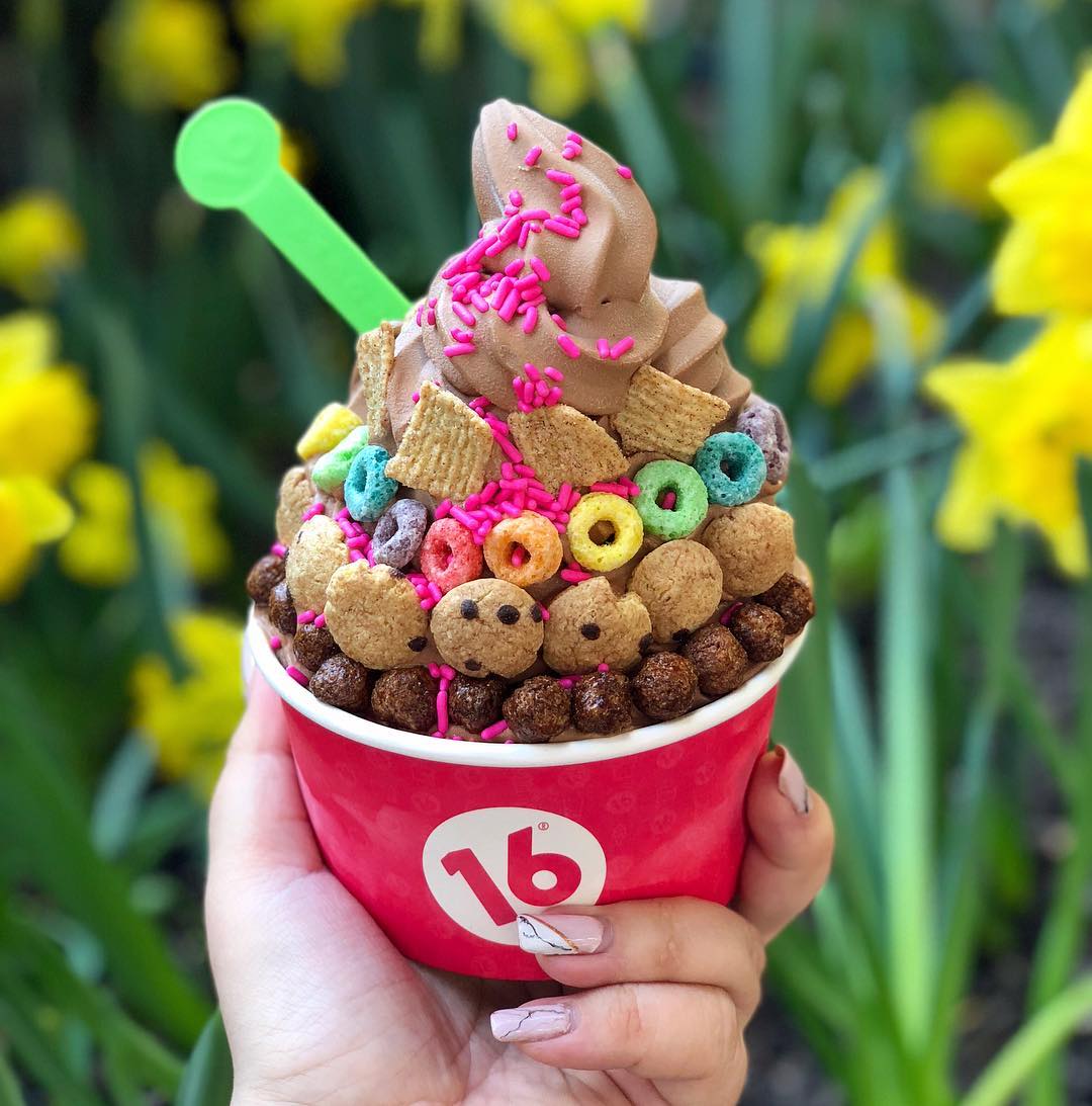 16 Handles photo