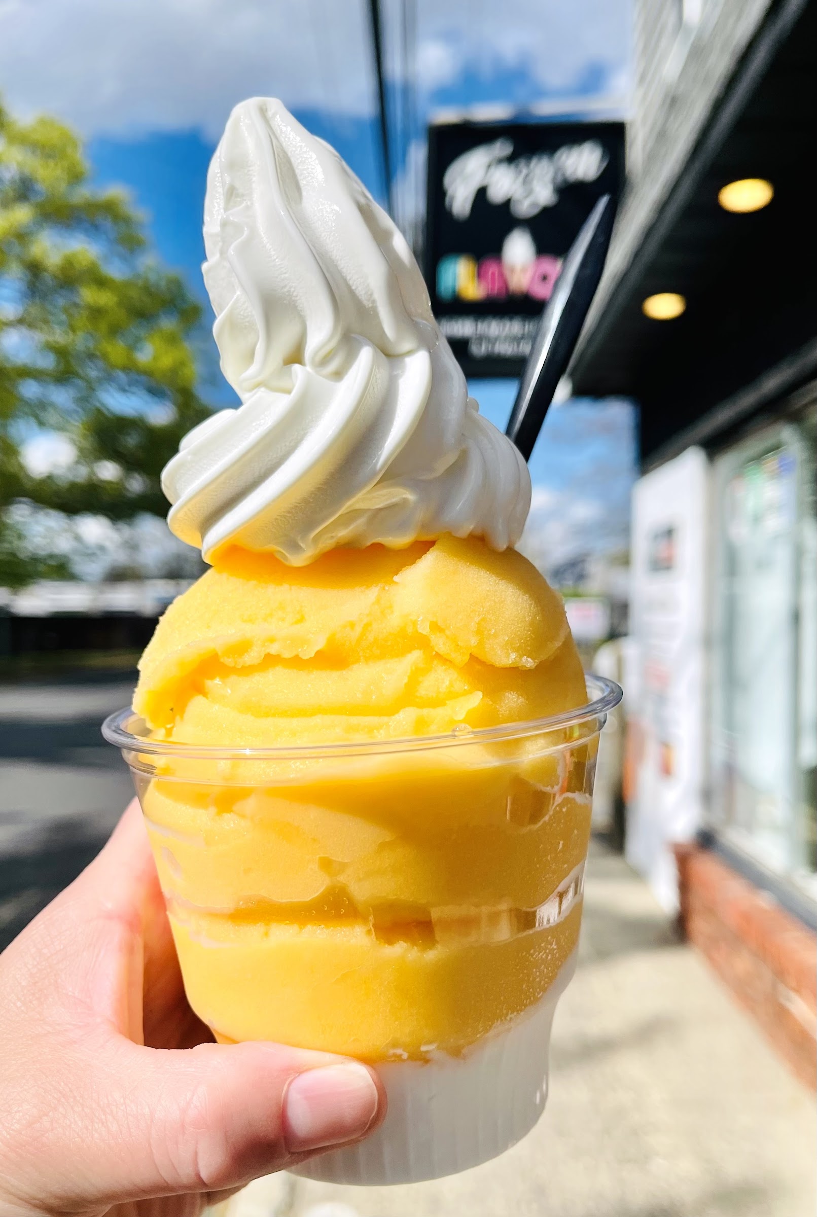 Frozen Flavors Homemade Ice Cream & Italian Ice photo