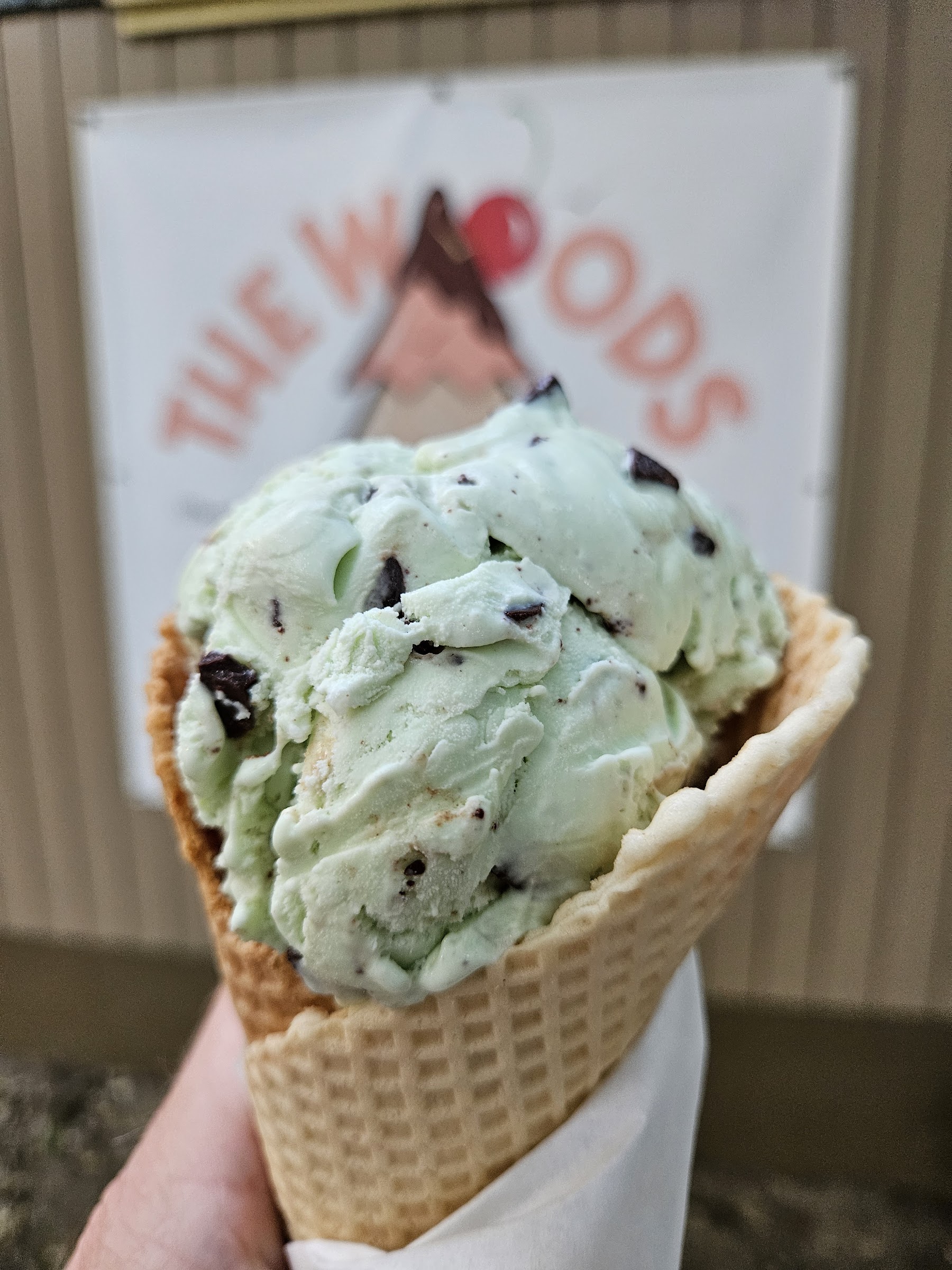 The Woods Ice Cream Shop