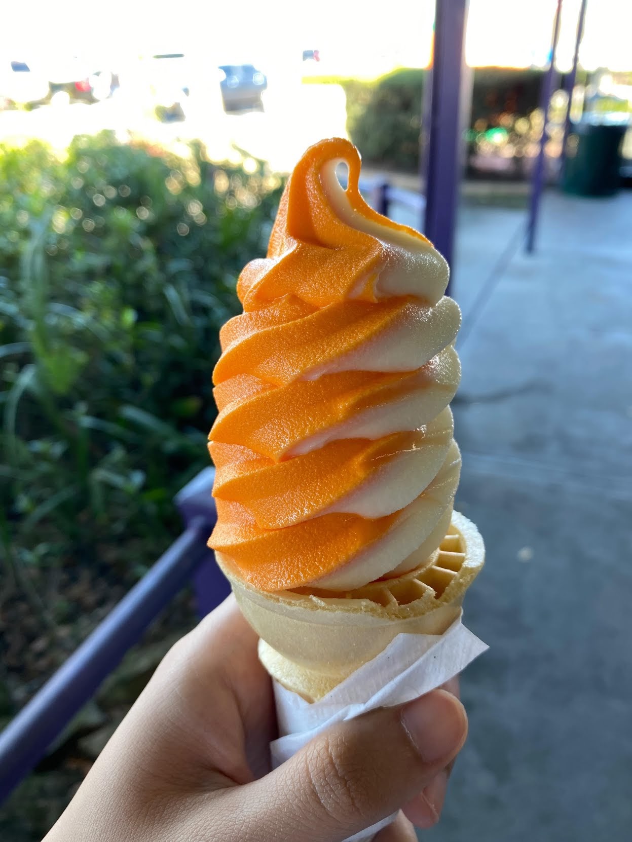 Del's Custard & Yogurt photo