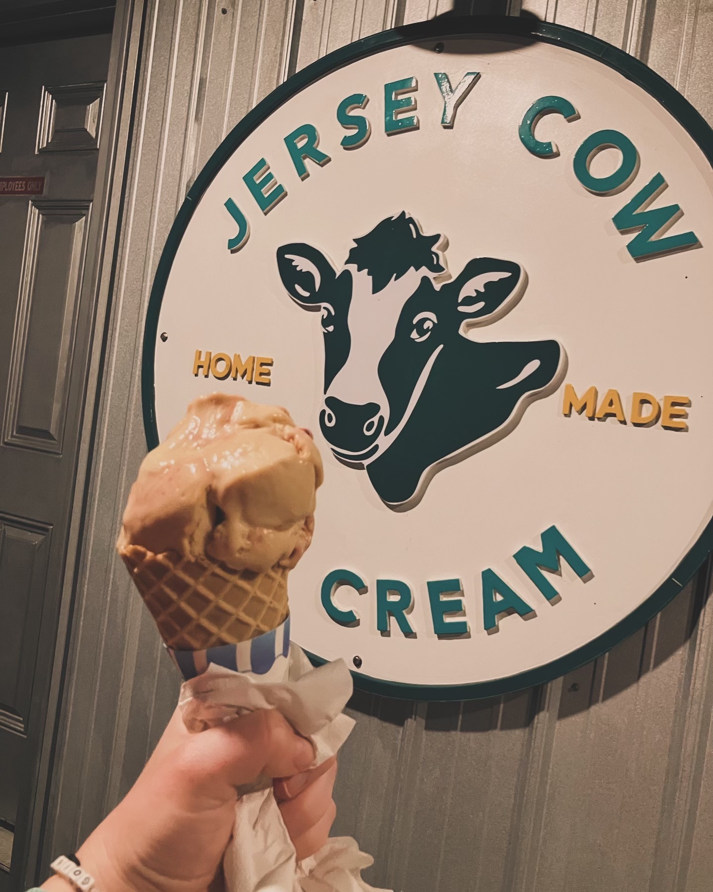 Jersey Cow Ice Cream photo