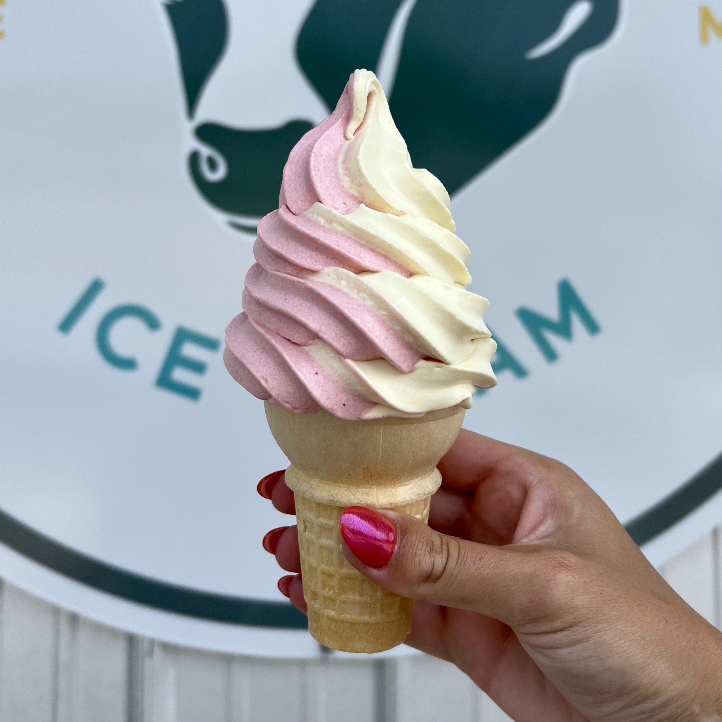 Jersey Cow Ice Cream photo