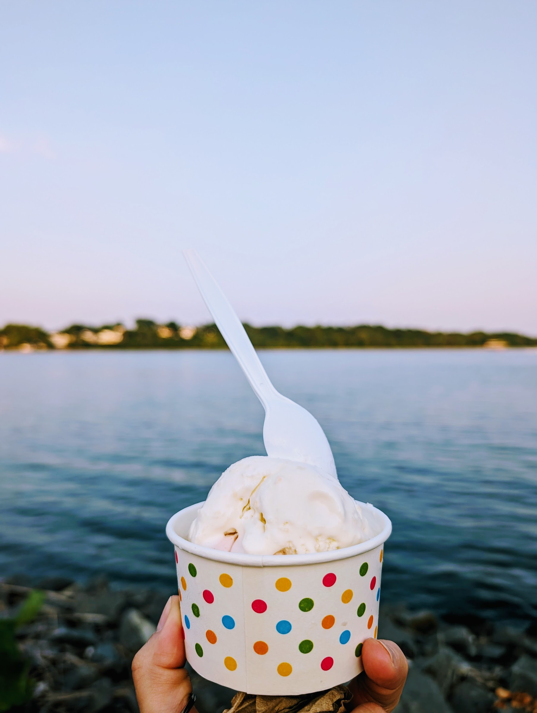 Bayside Creamery