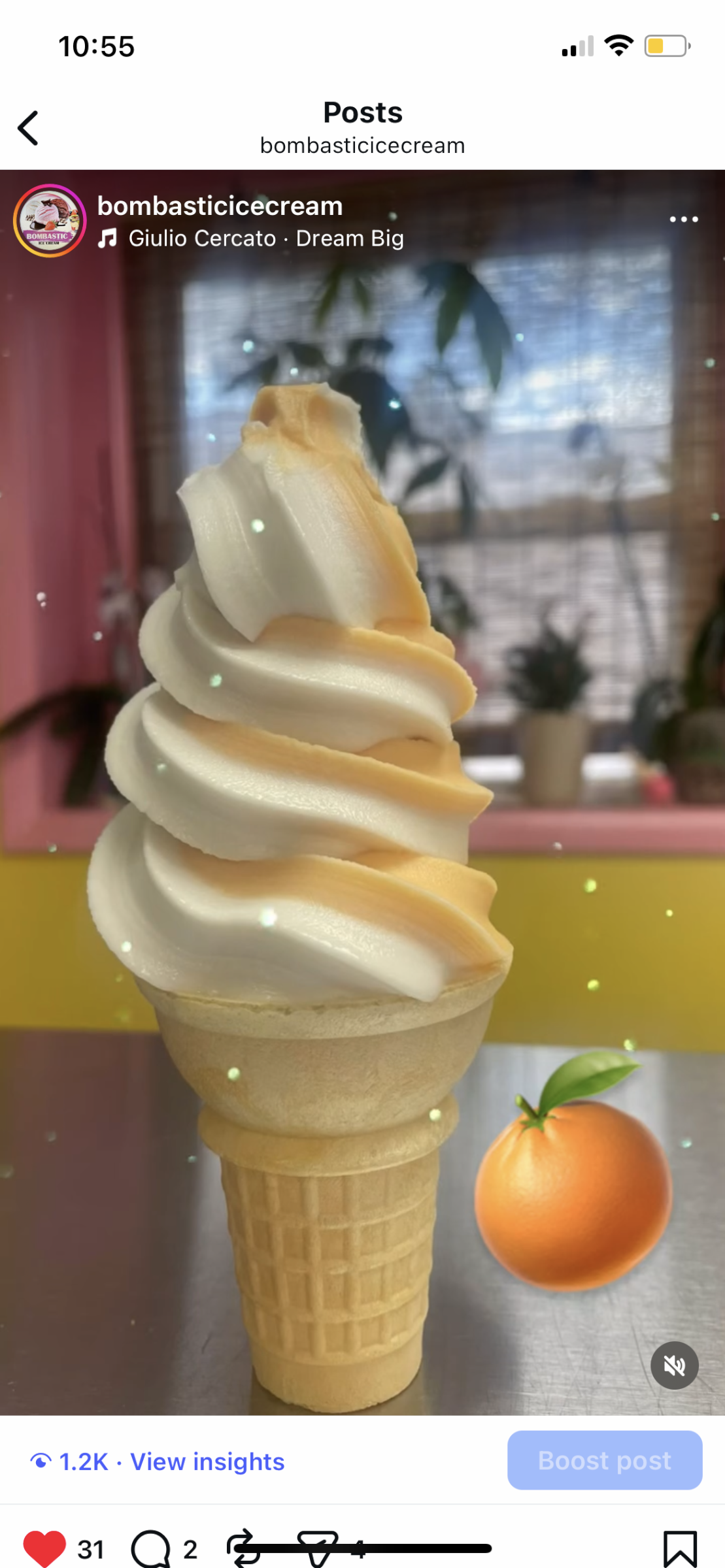 Ice cream & water ice shop photo