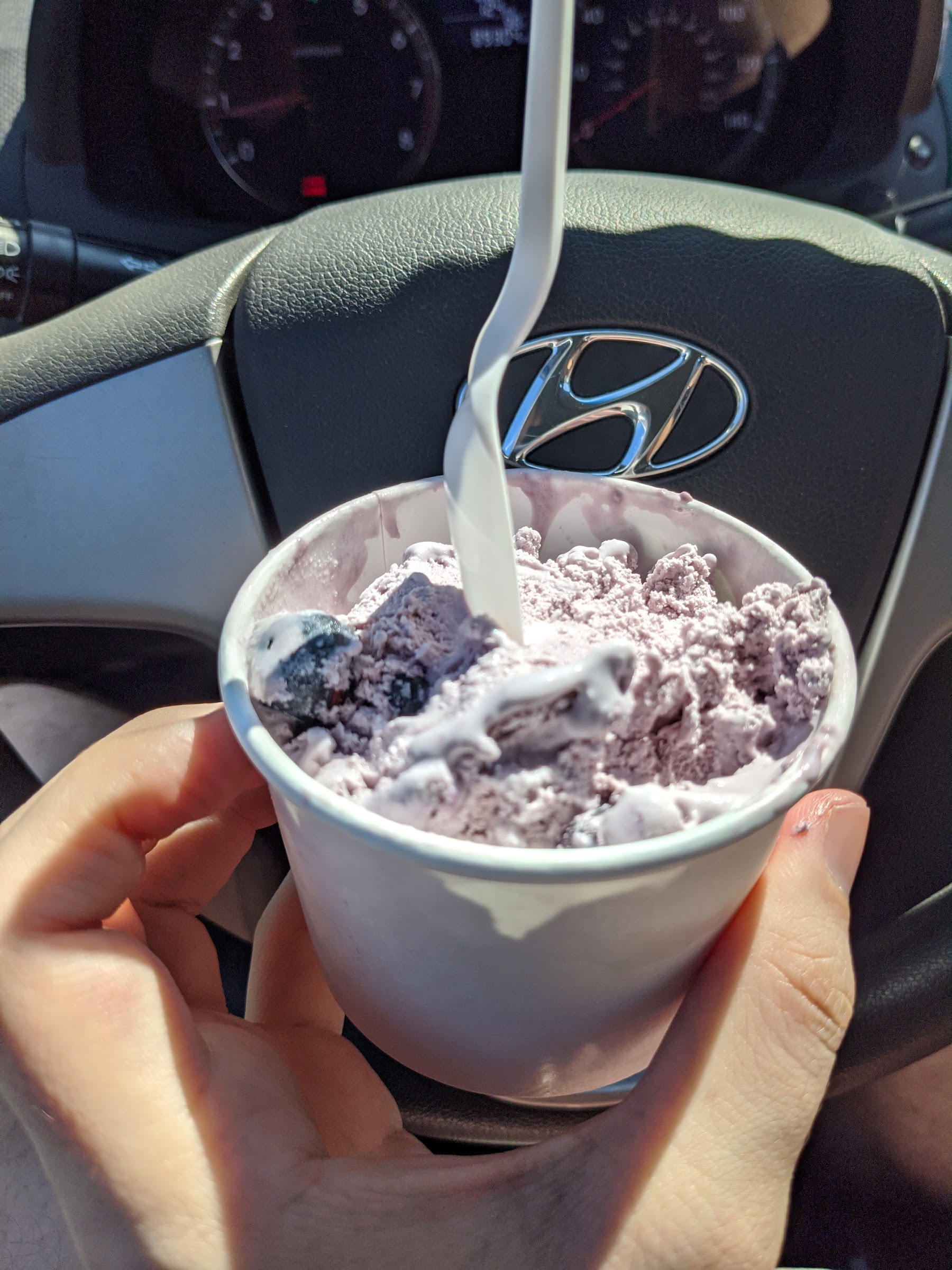 Scoops Ice Creamery photo