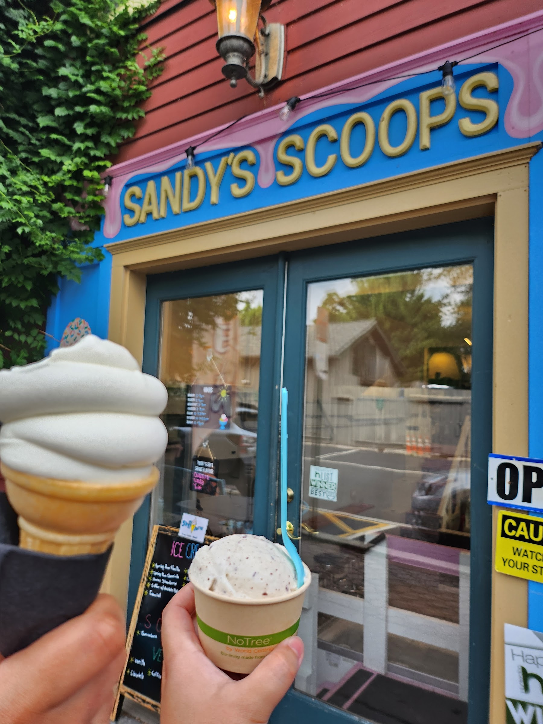Sandy's Scoops photo
