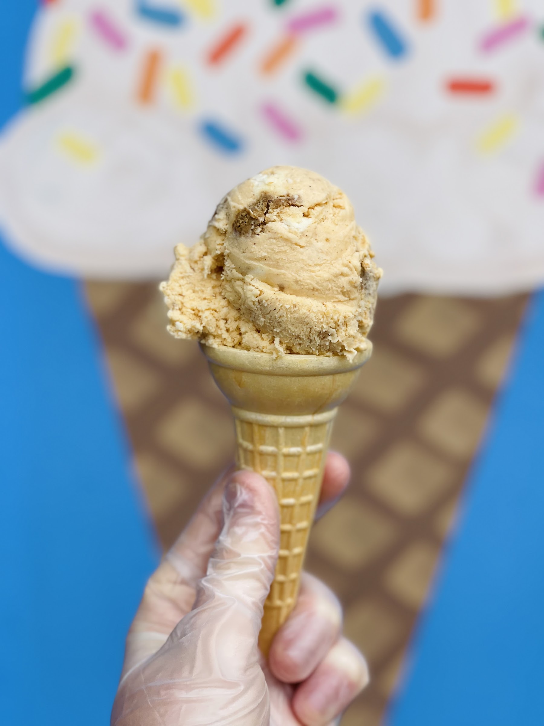Sandy's Scoops photo