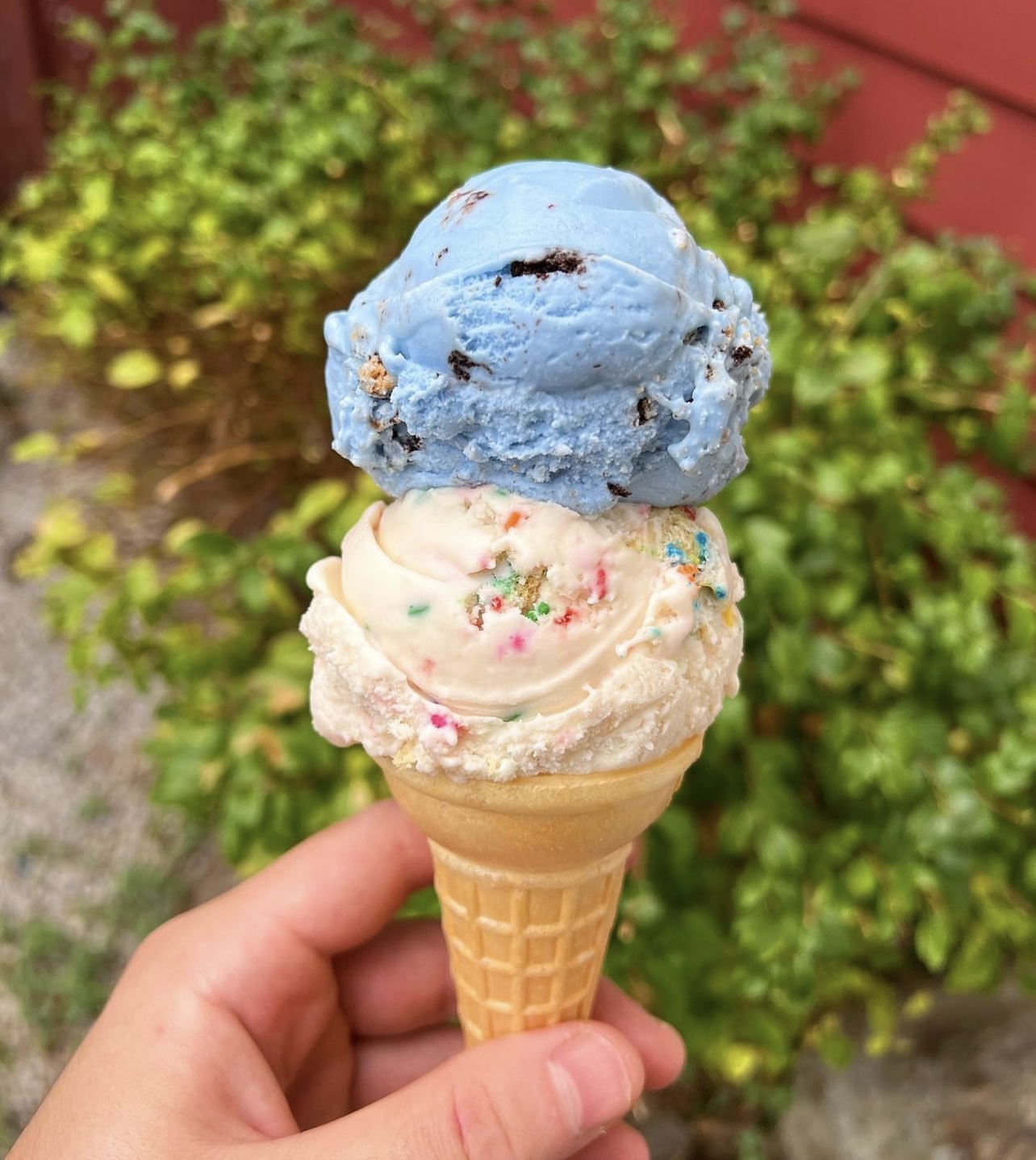 Sandy's Scoops photo