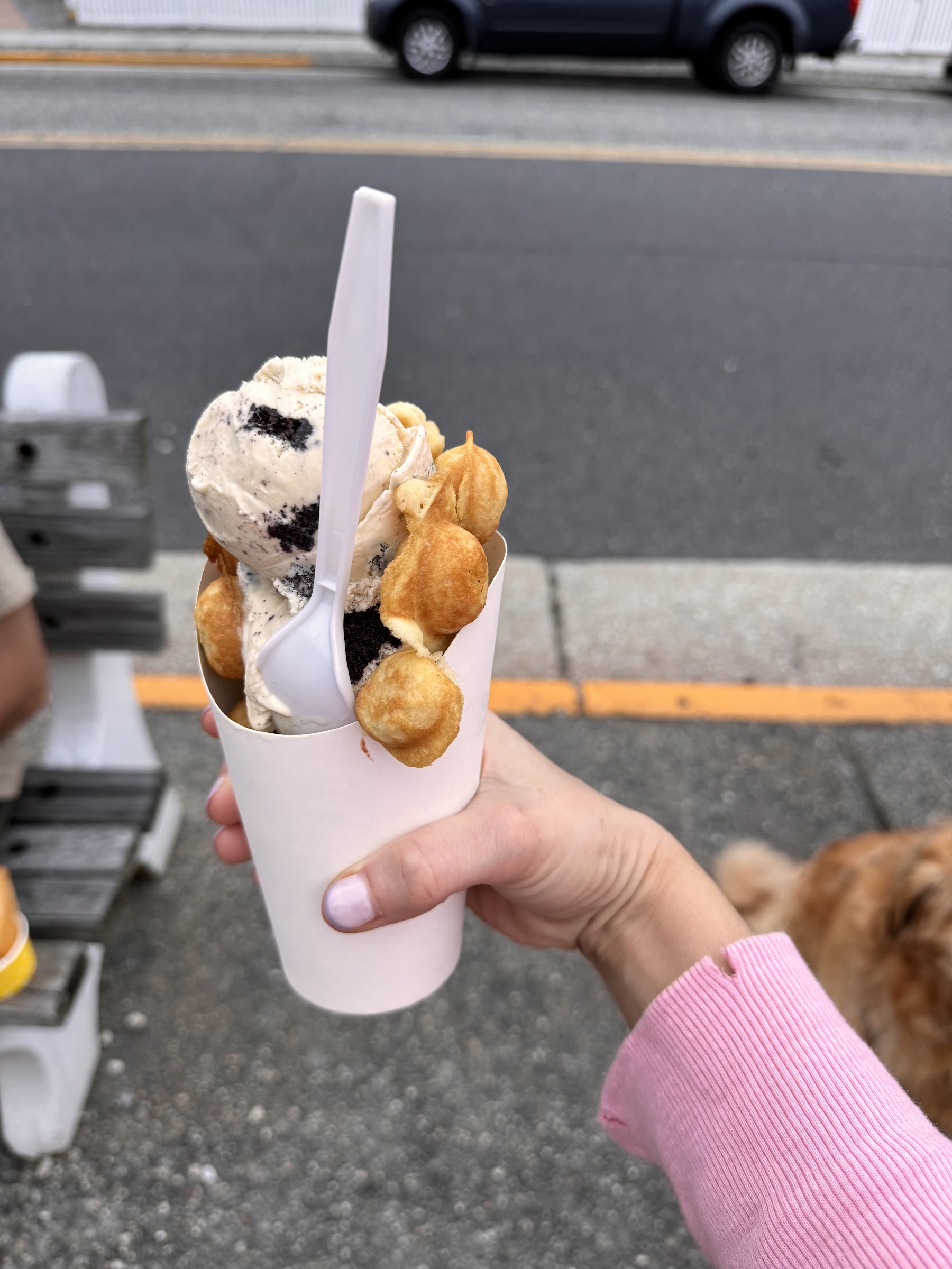 Scoops photo