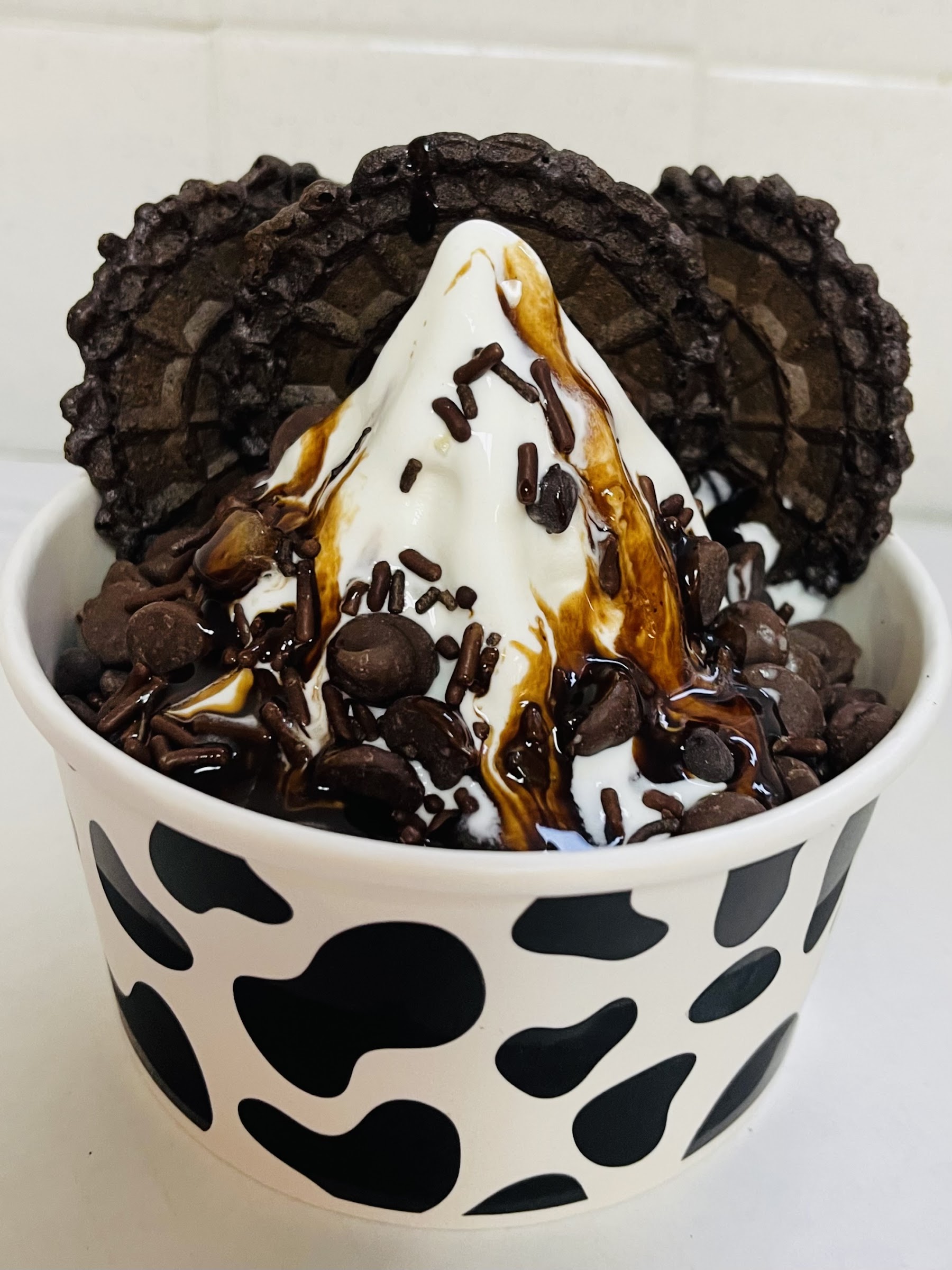 Here's The Scoop photo