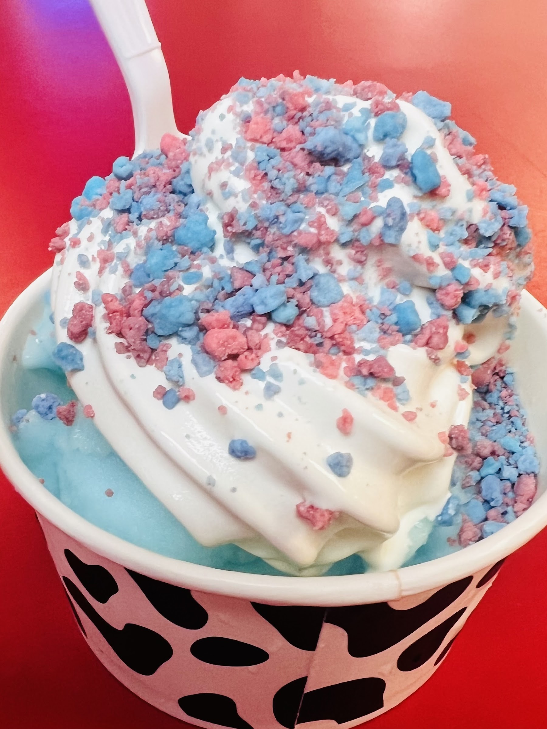 Here's The Scoop photo
