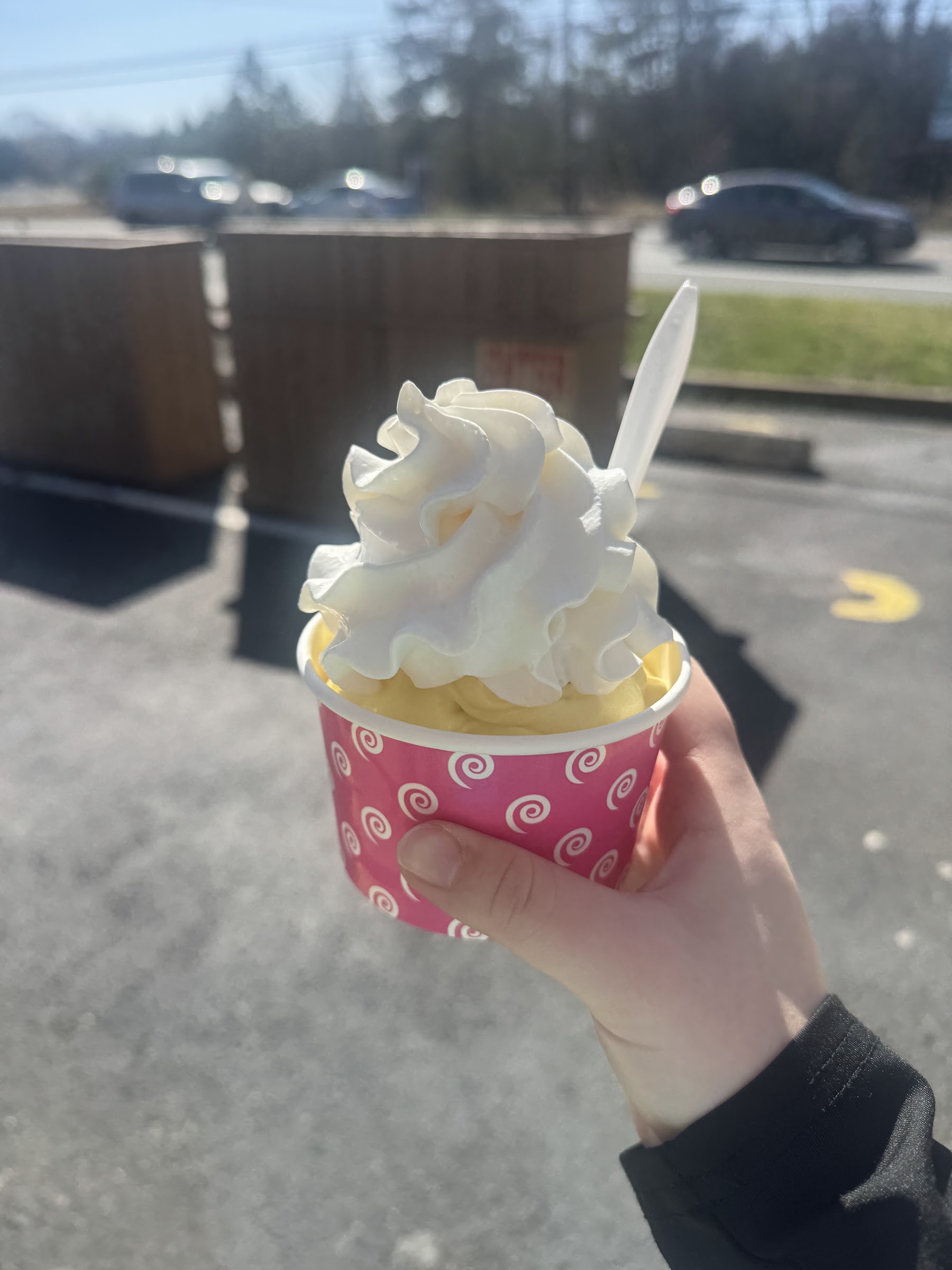 Verona Custard photo