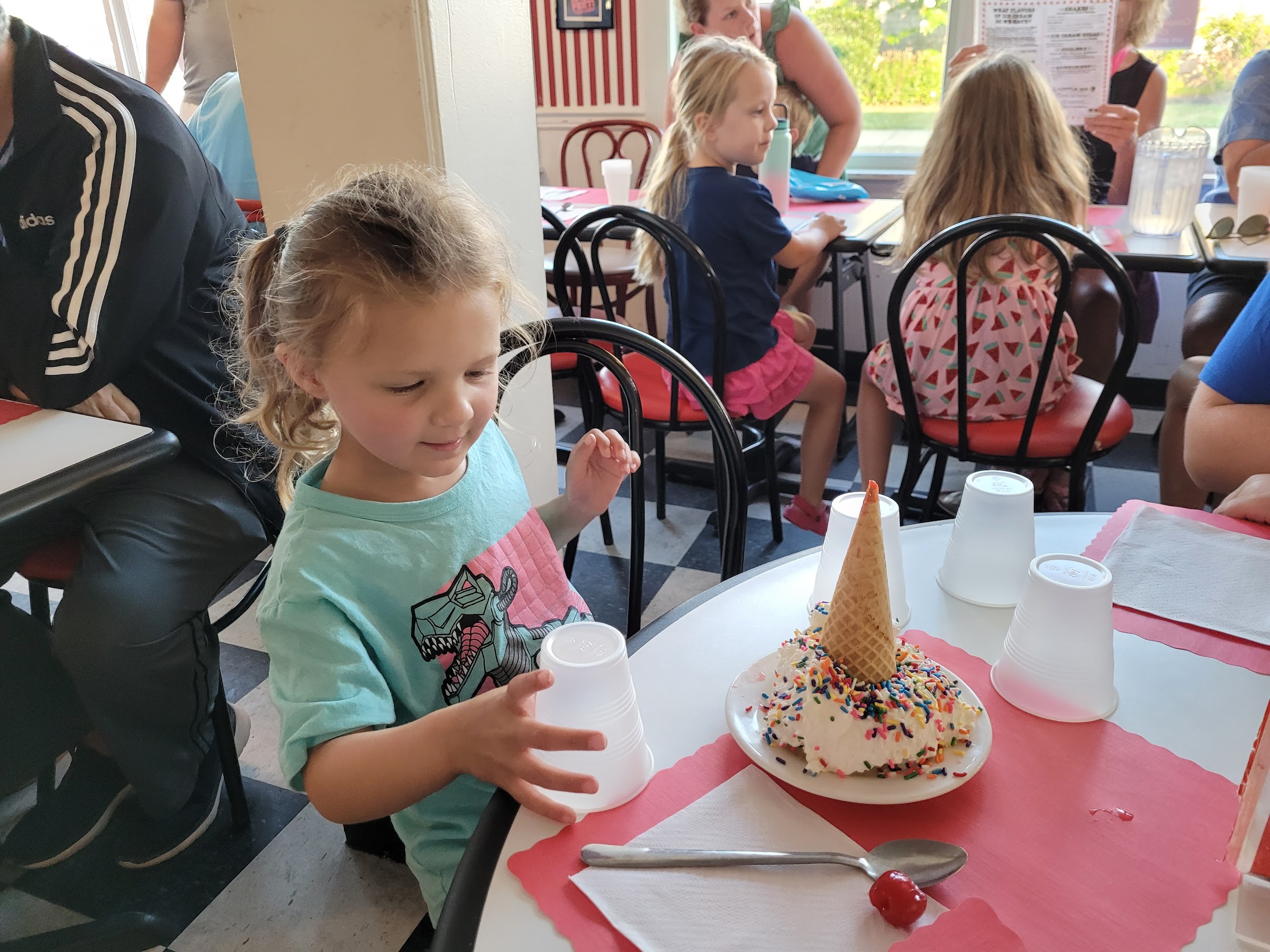 The Show Place Ice Cream Parlour photo