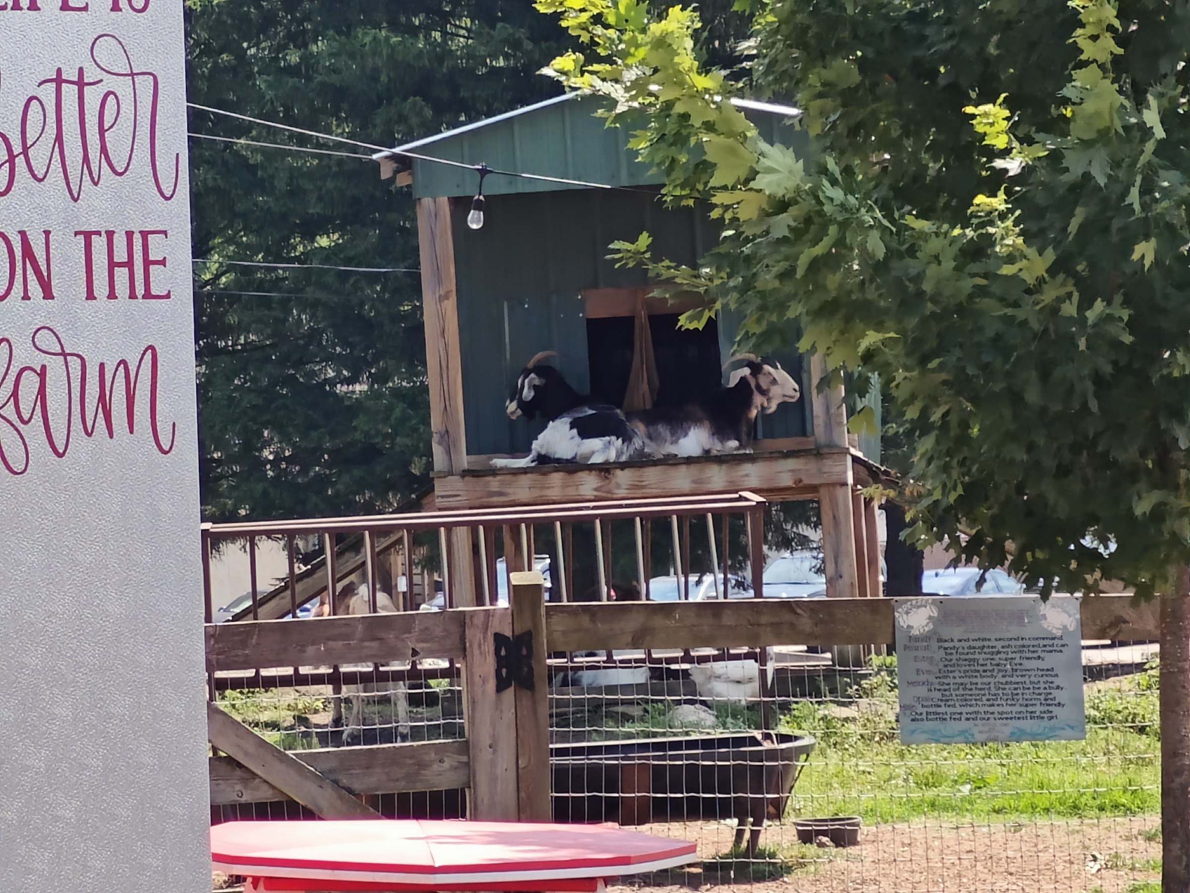 Andersen Farms photo
