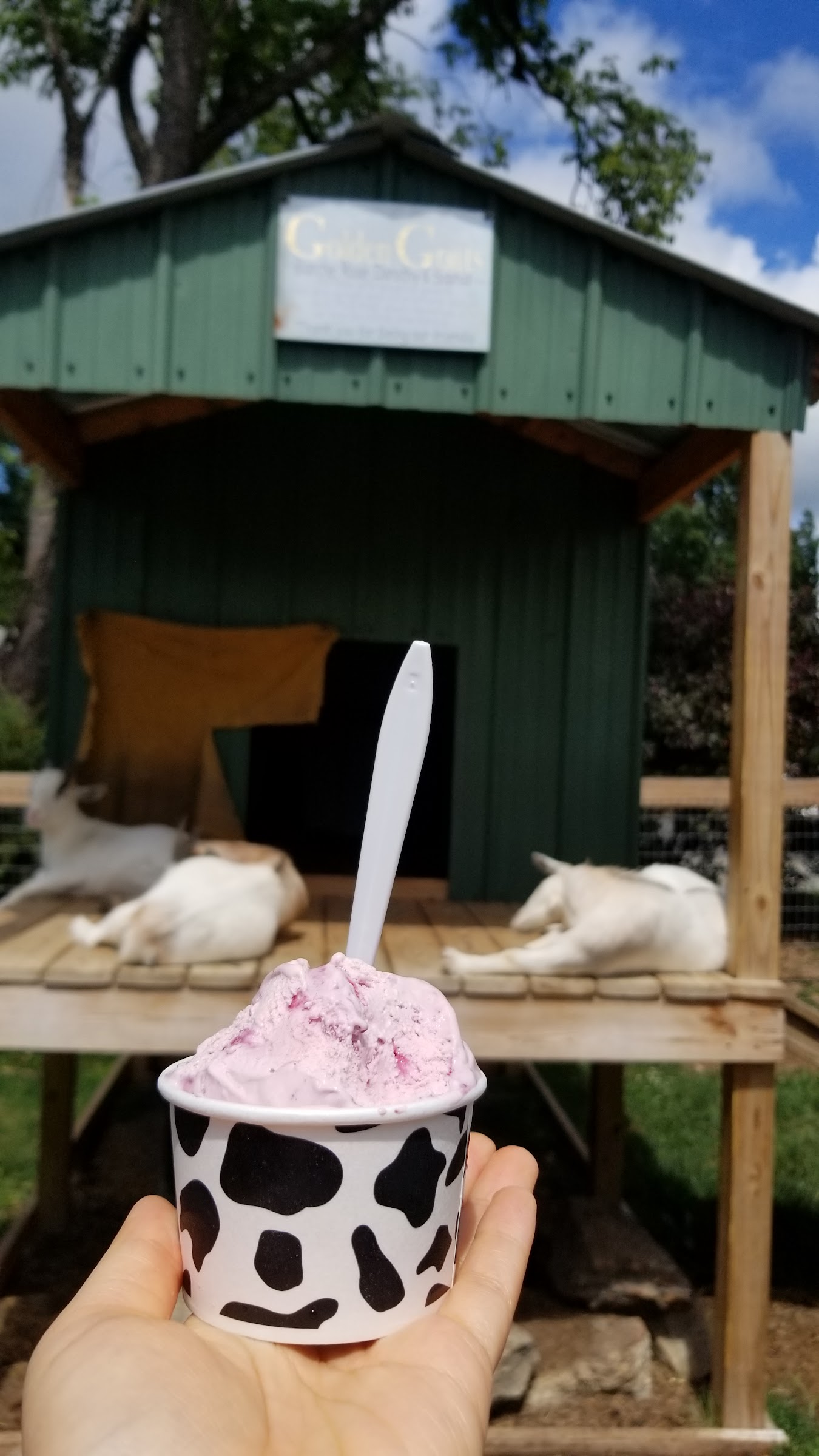 Andersen Farms photo