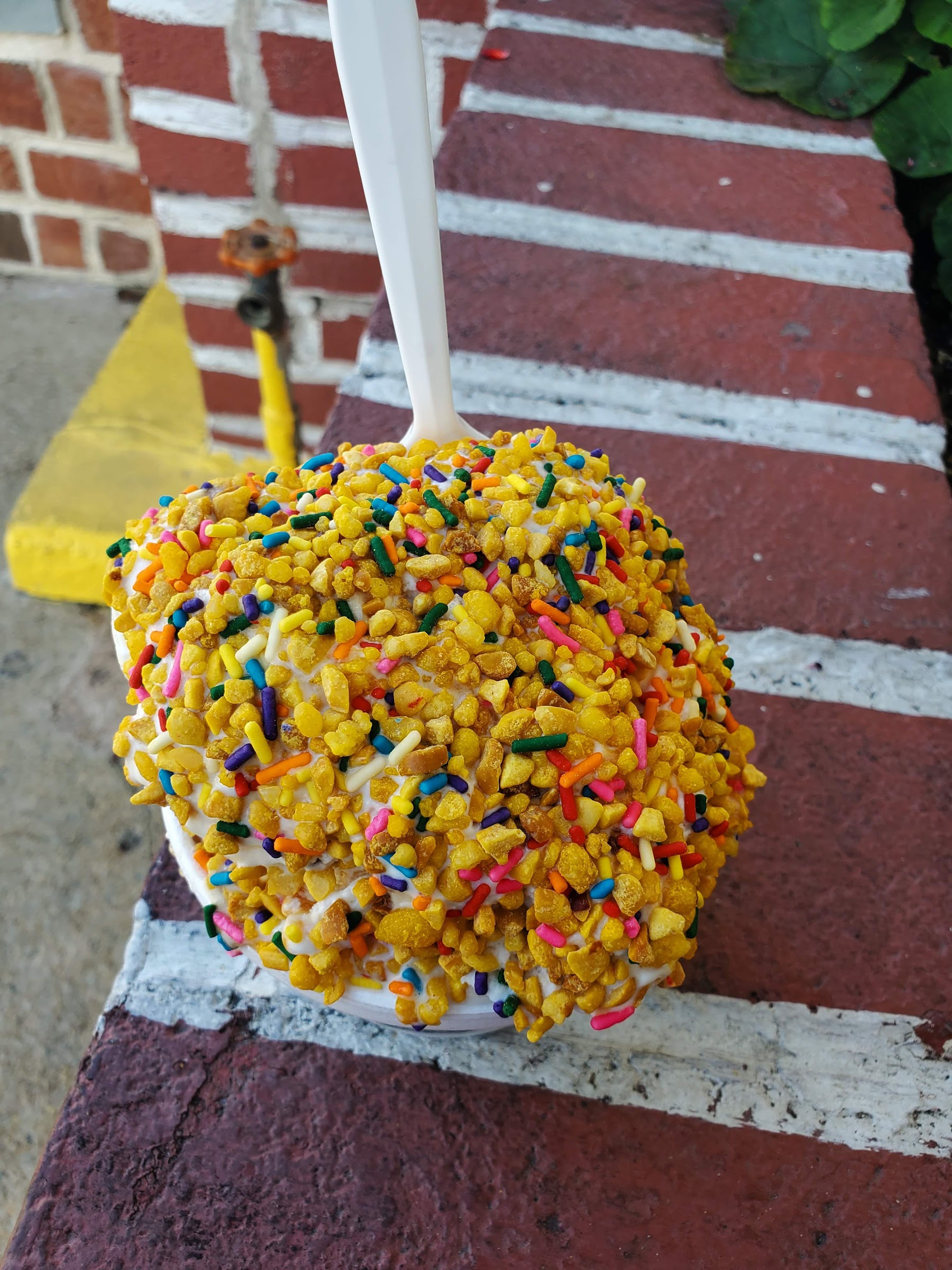 Sea Shell Ice Cream photo