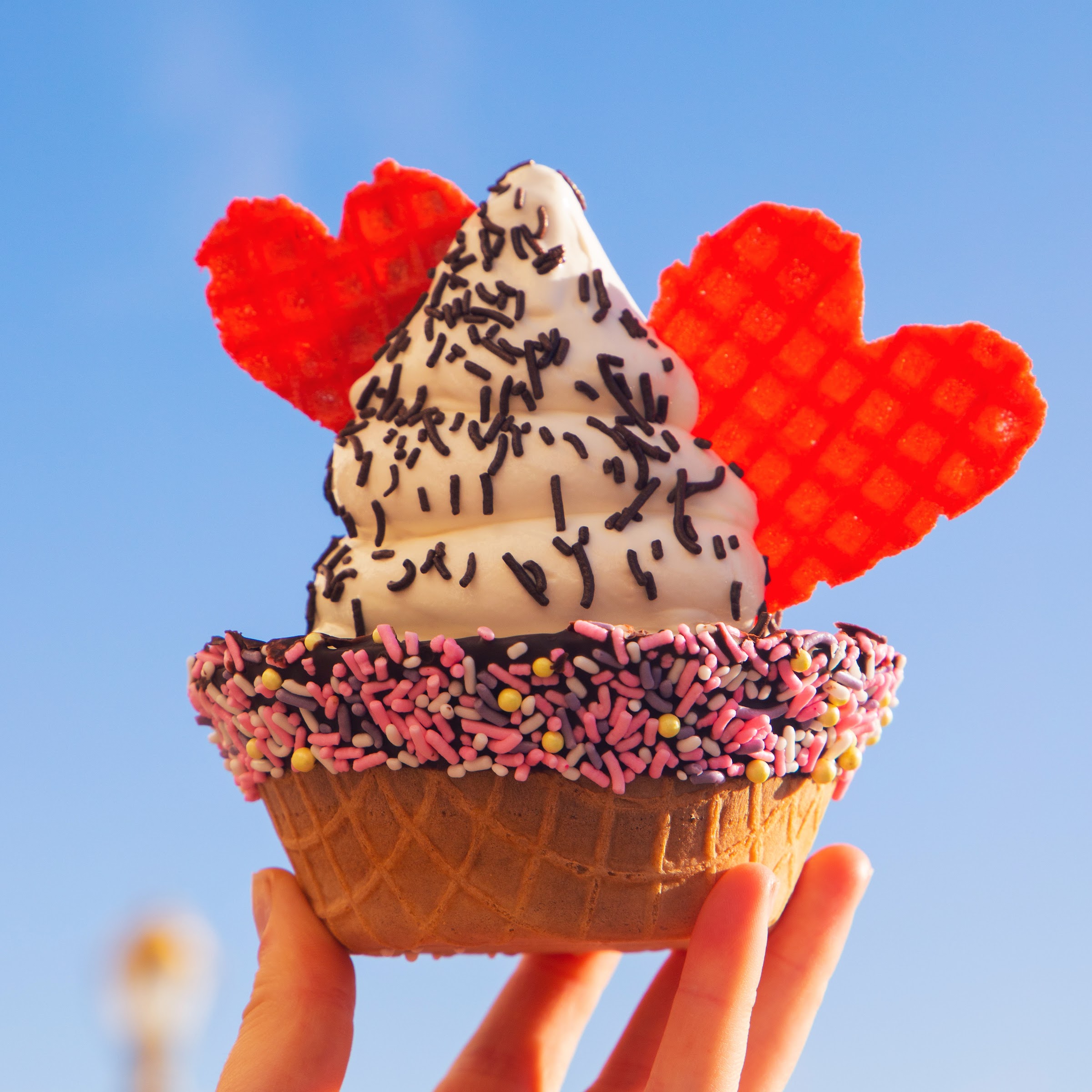 Coney Waffle Ice Cream and Sweet Shop photo