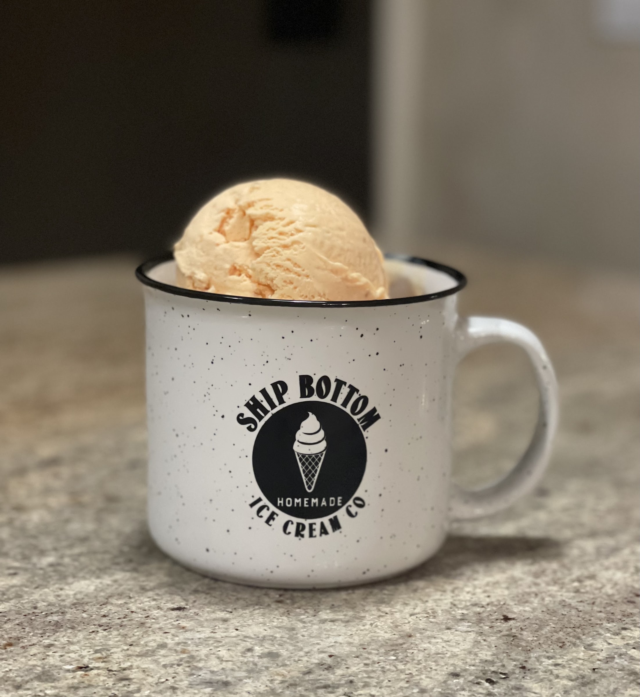 Ship Bottom Ice Cream Co. photo