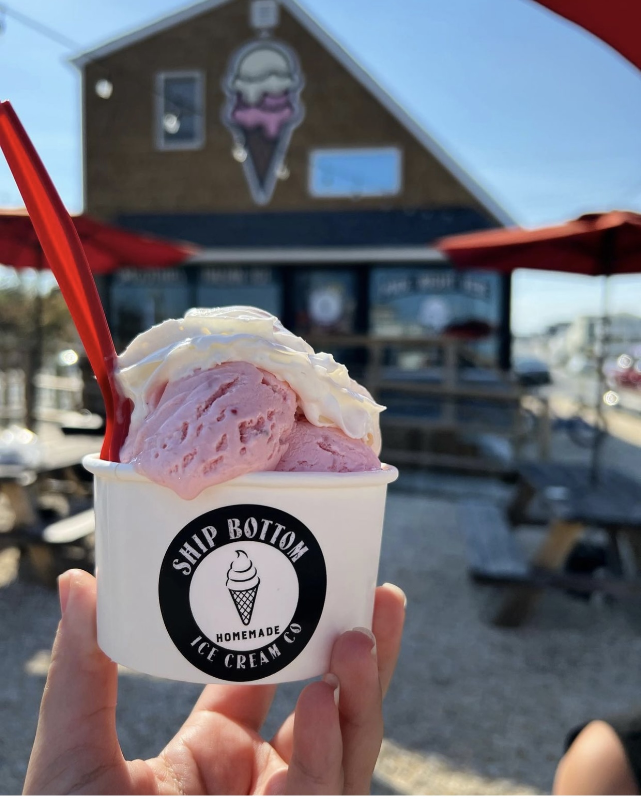 Ship Bottom Ice Cream Co. photo