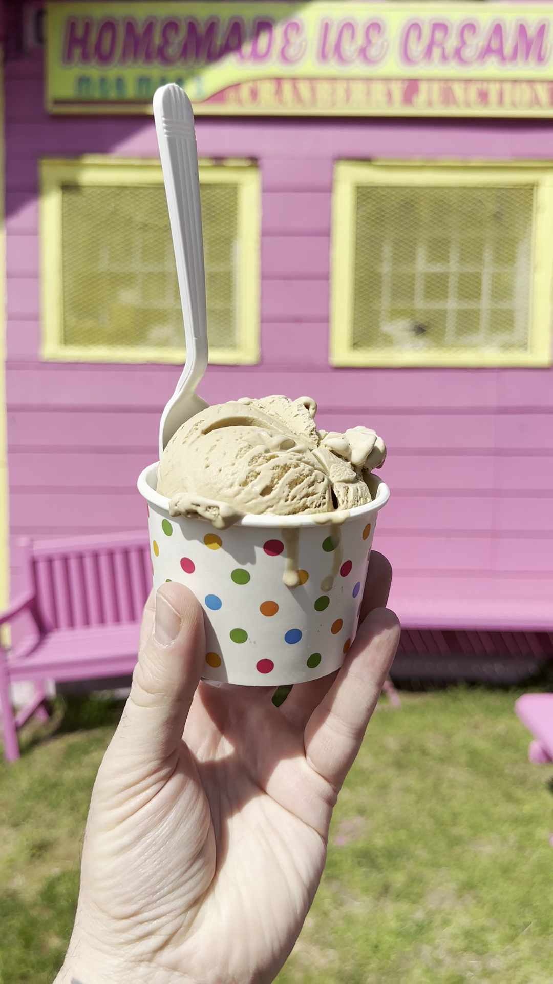 Cranberry Junction Homemade Ice Cream photo