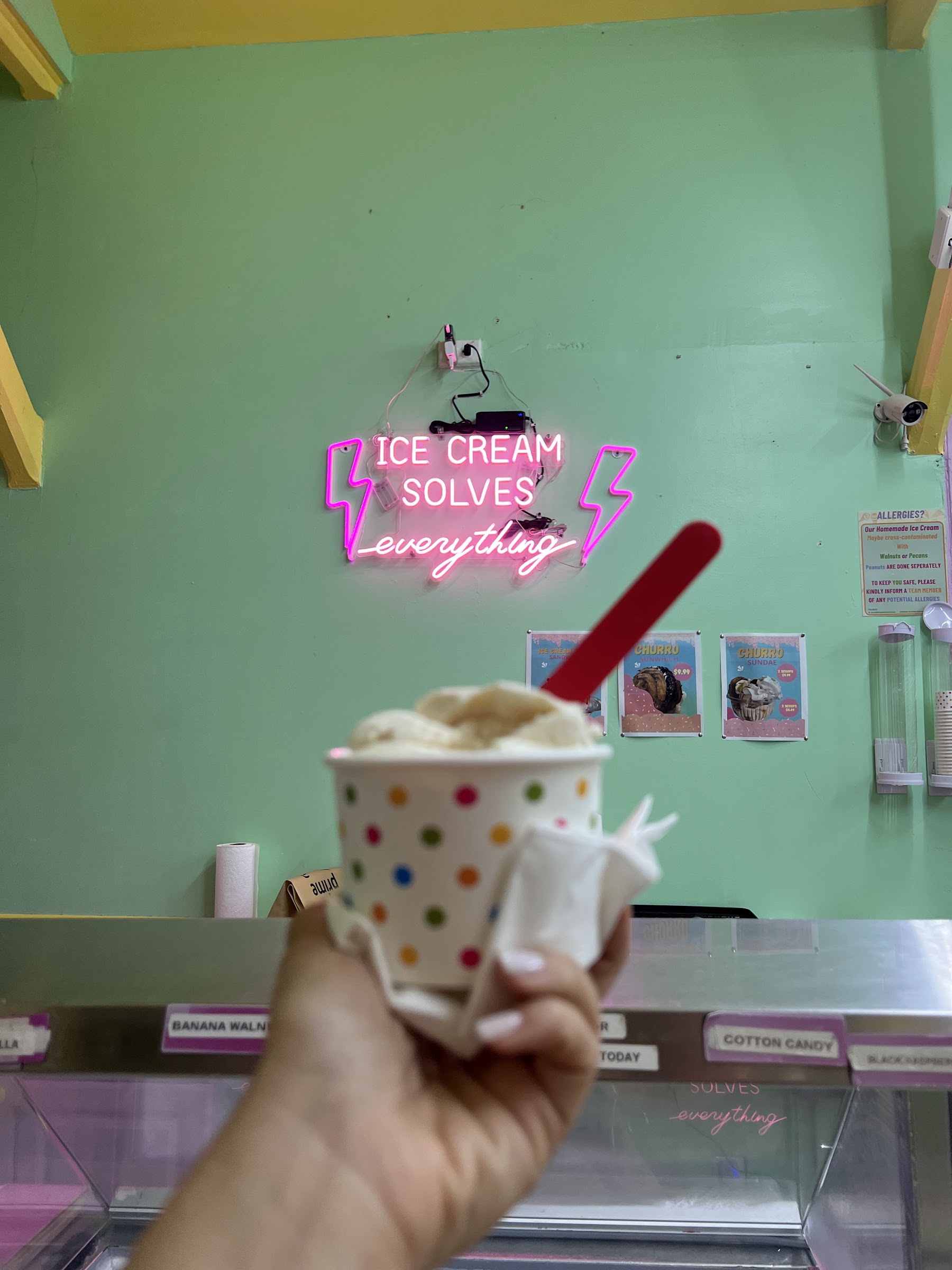 Cranberry Junction Homemade Ice Cream photo