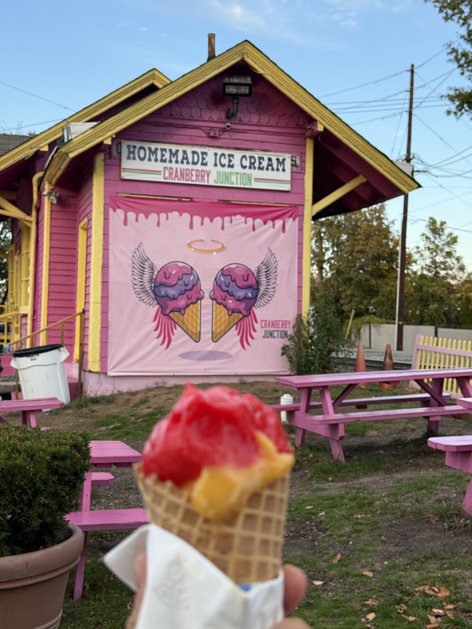 Cranberry Junction Homemade Ice Cream photo