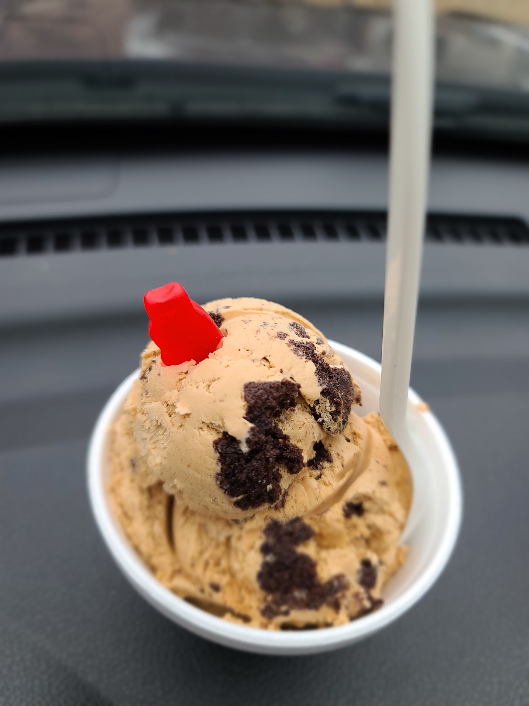 Penguin Ice Cream photo