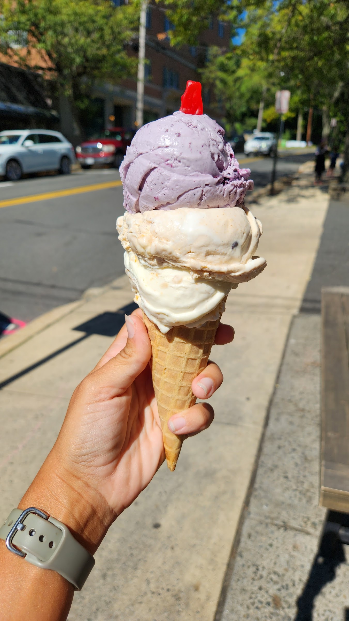 Penguin Ice Cream photo