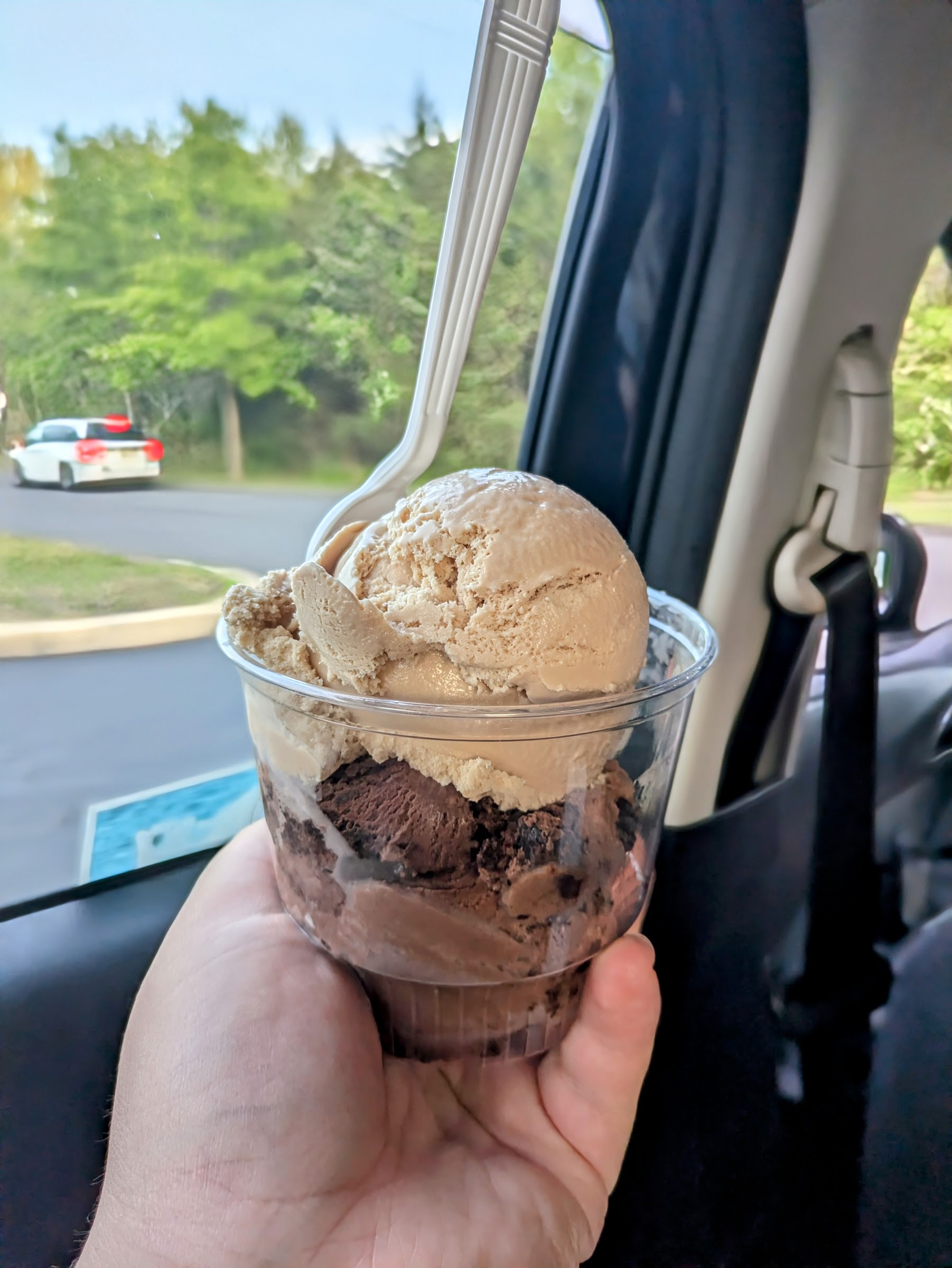 Moo's Landing Ice Cream Company photo