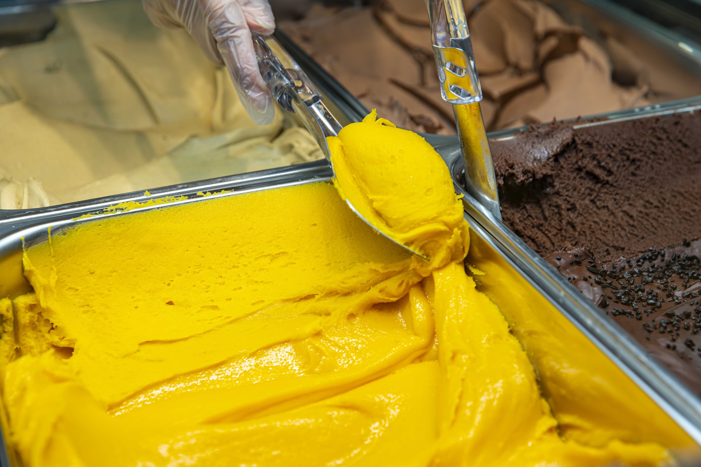Venchi Chocolate & Gelato Short Hills photo