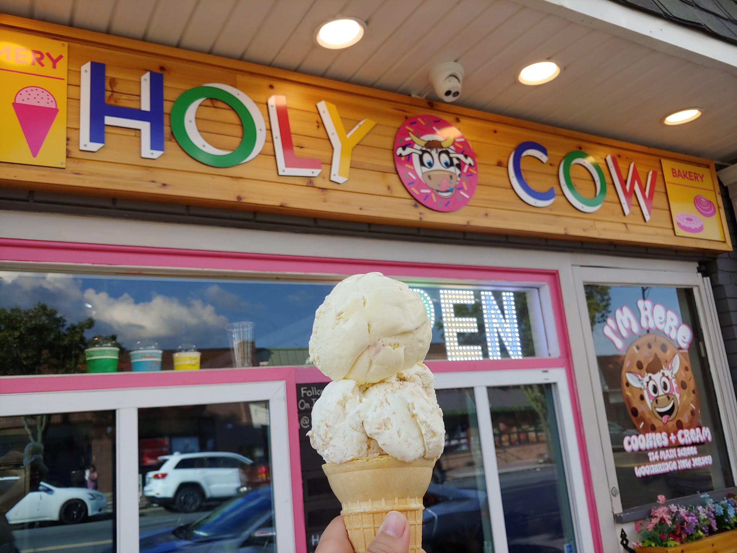 Holy Cow photo
