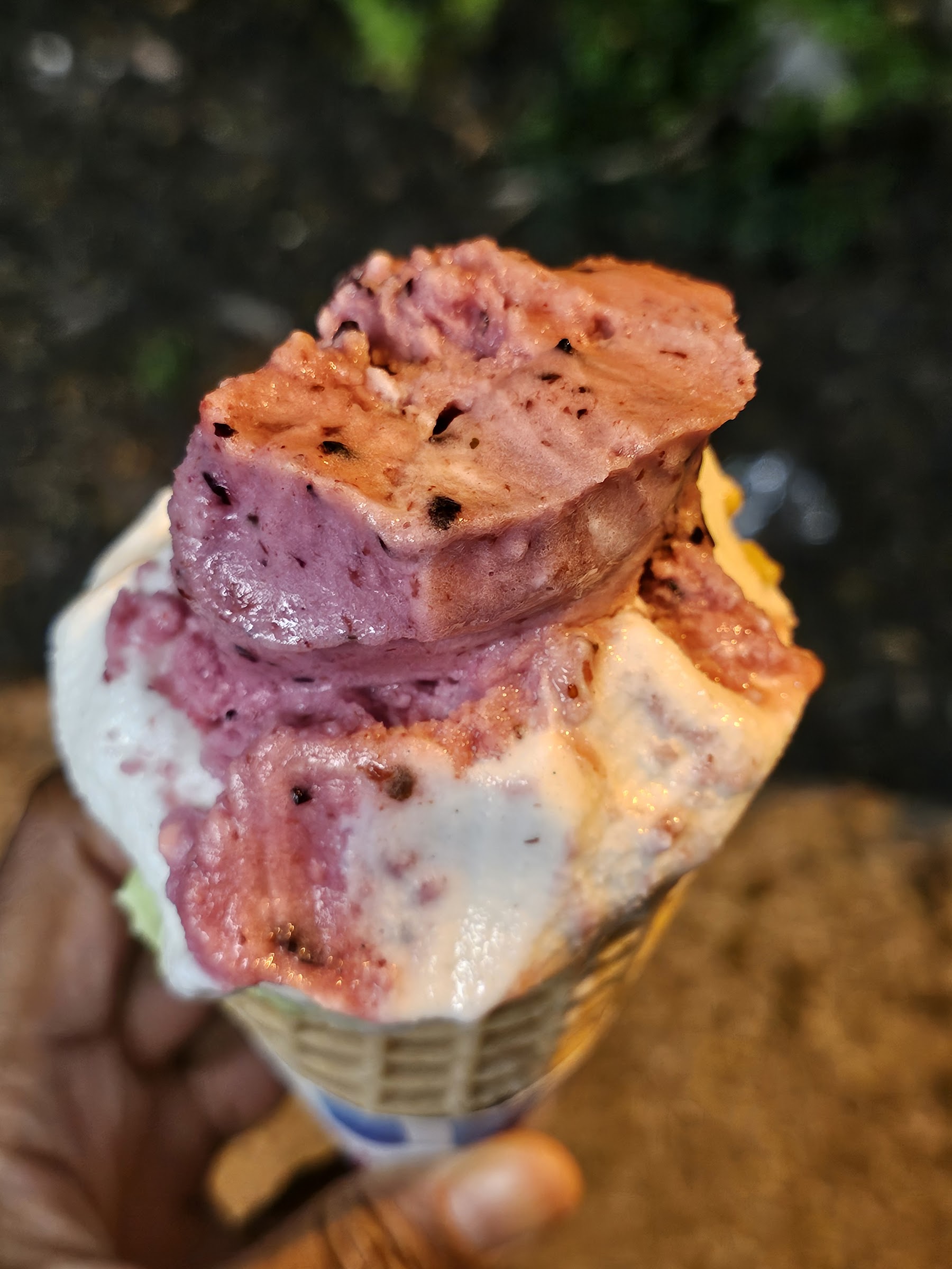 Guerriero Gelato & Cakes photo