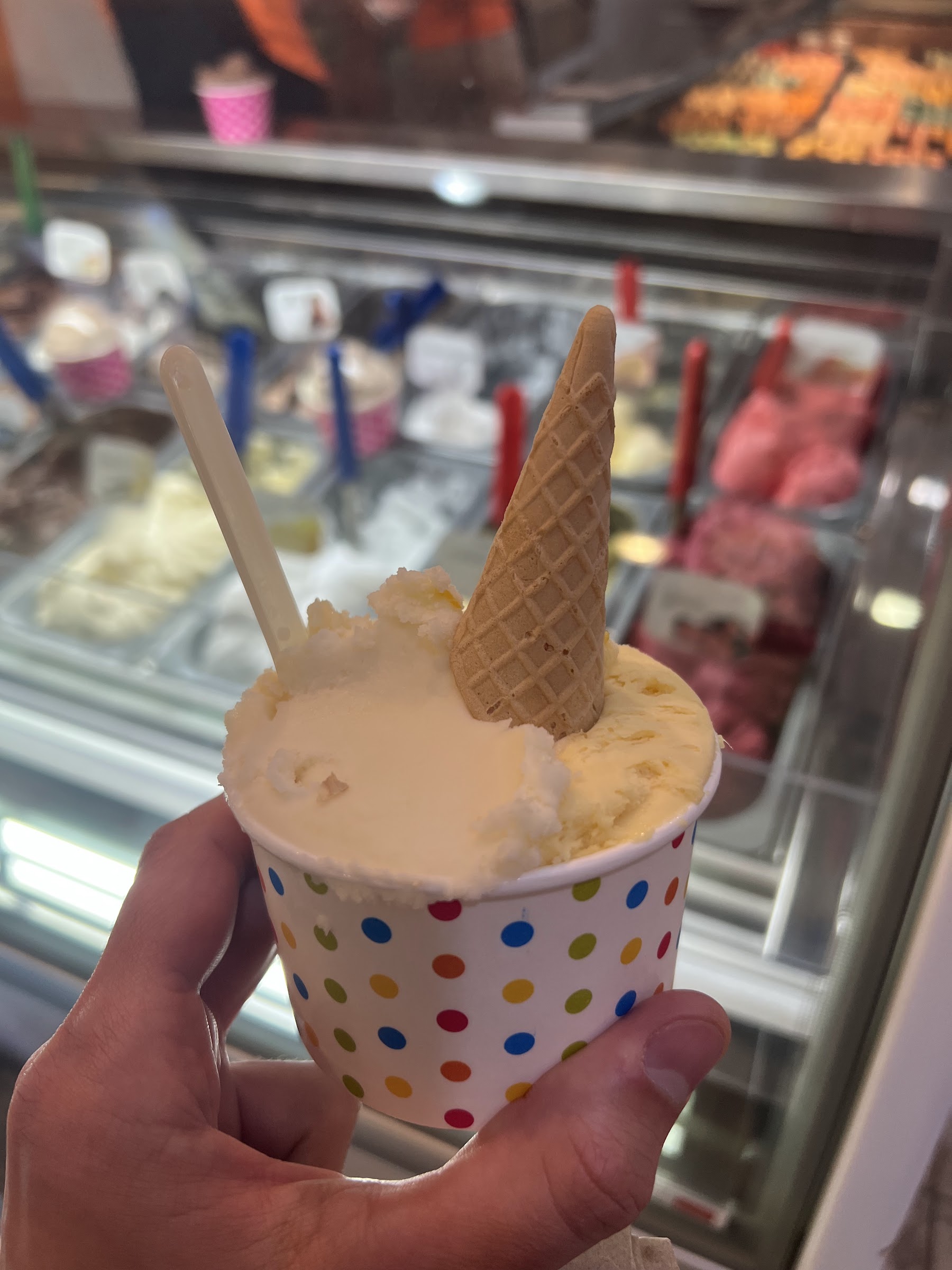 il laboratorio del gelato photo