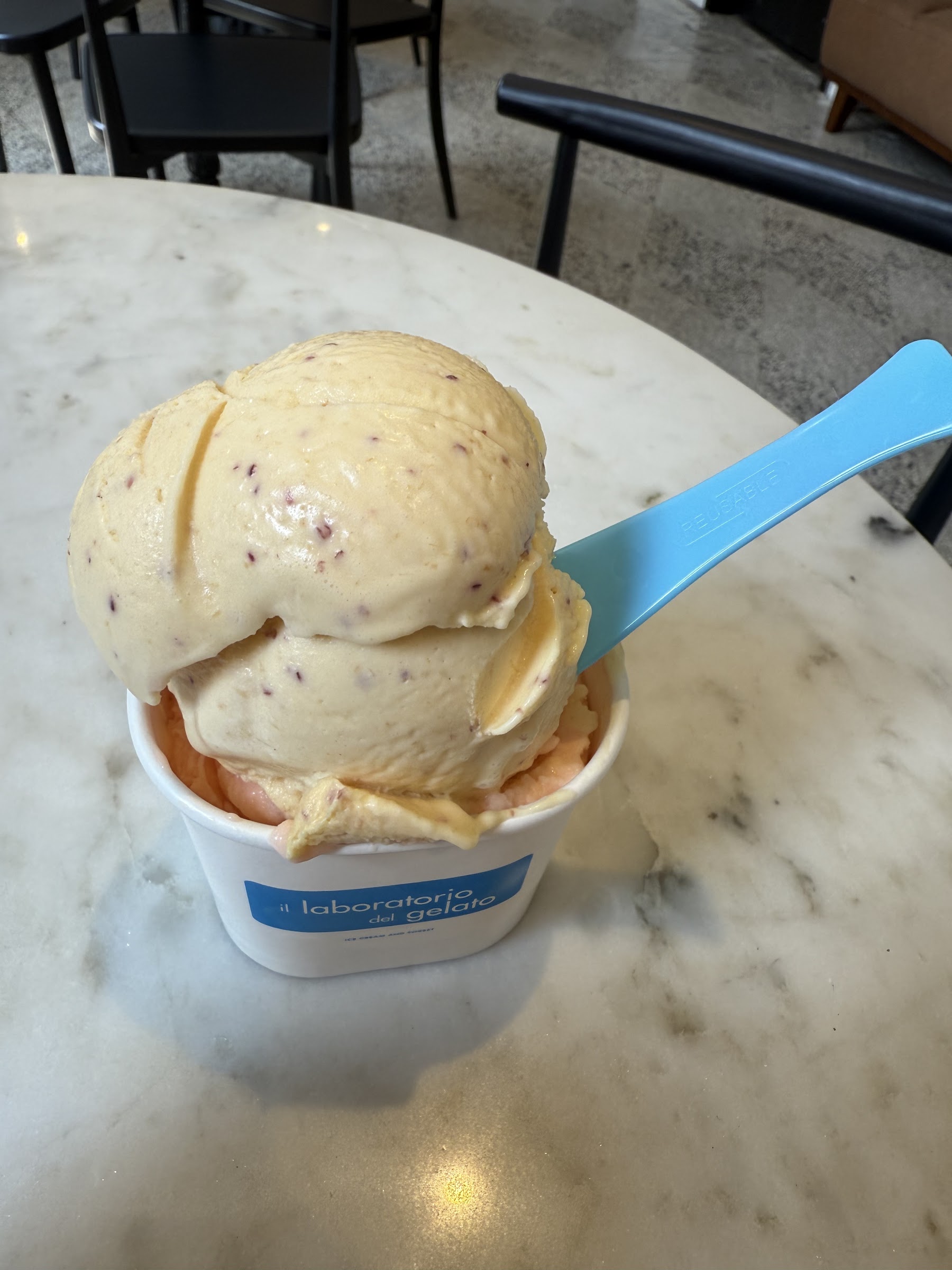 il laboratorio del gelato photo