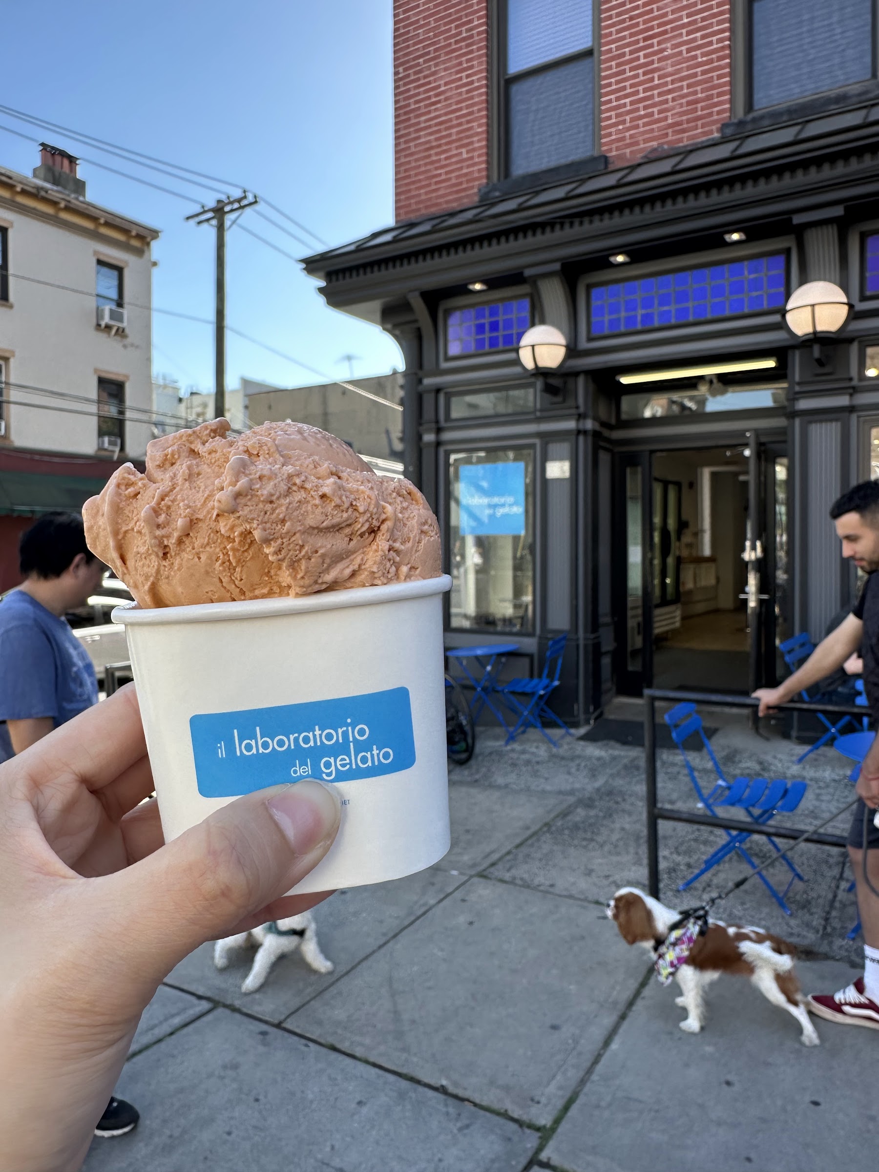 il laboratorio del gelato photo