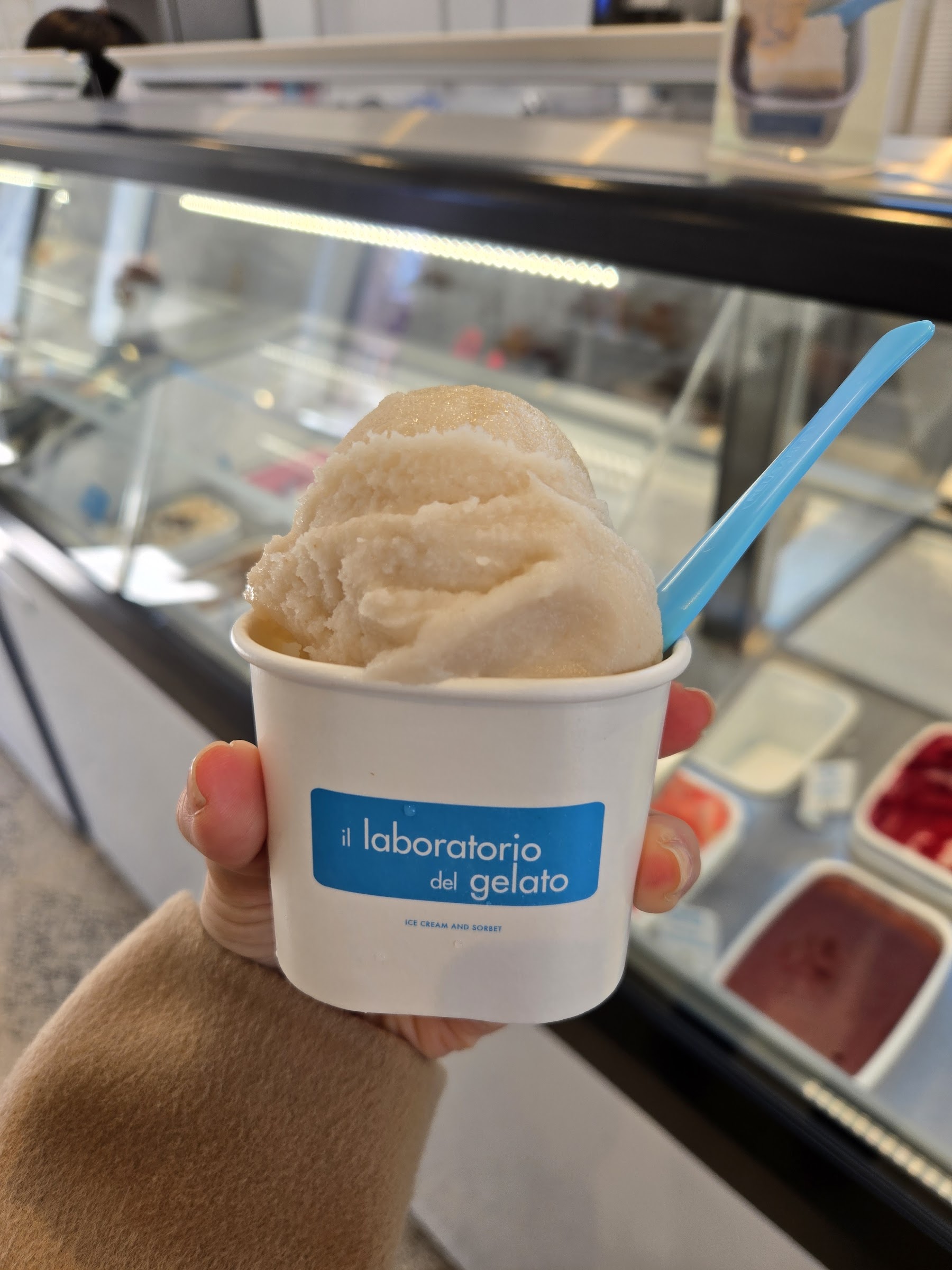 il laboratorio del gelato photo