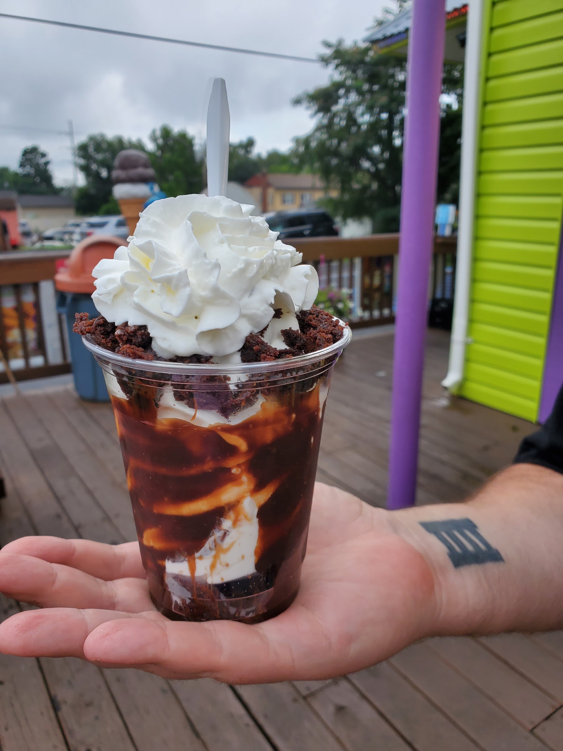 The Whole Scoop photo