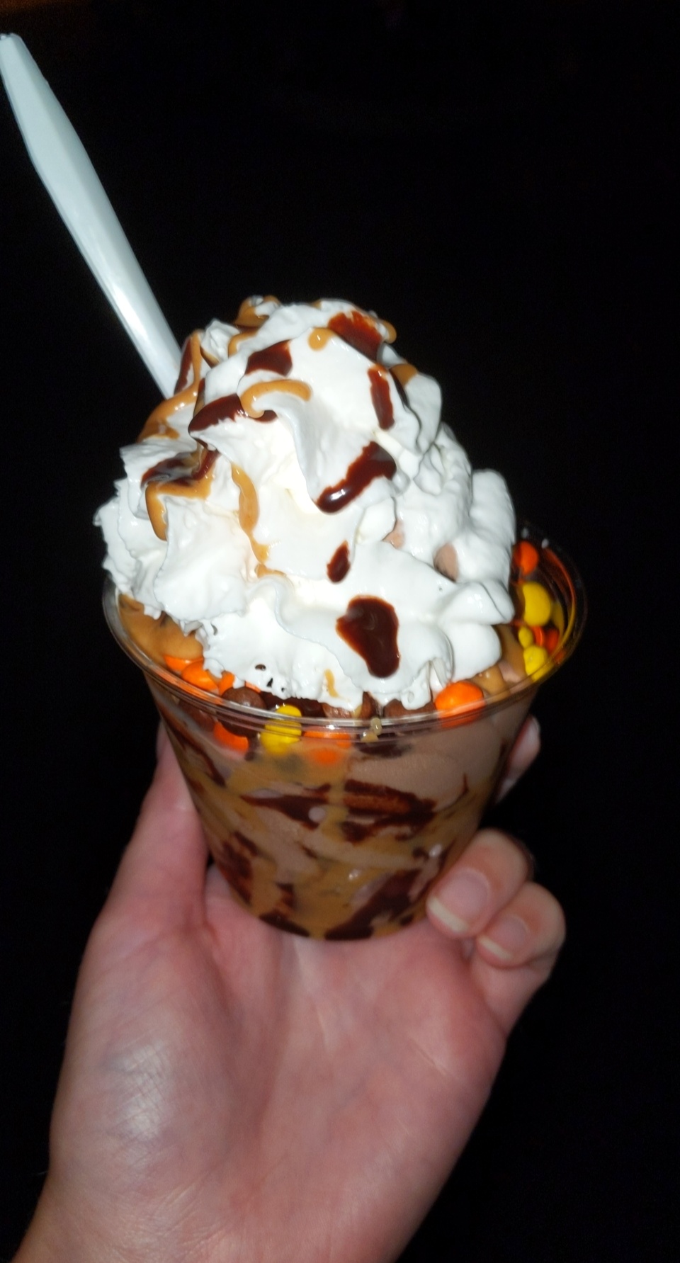 The Whole Scoop photo