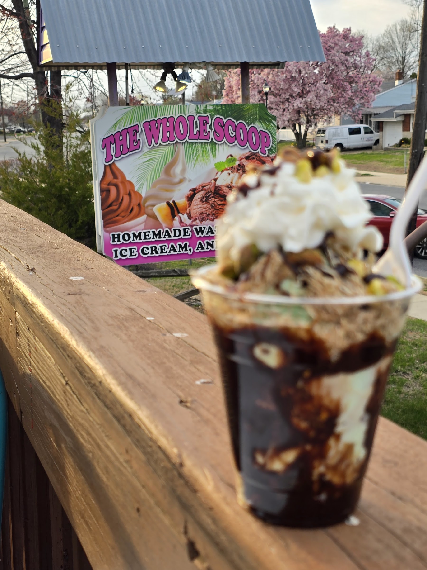 The Whole Scoop photo