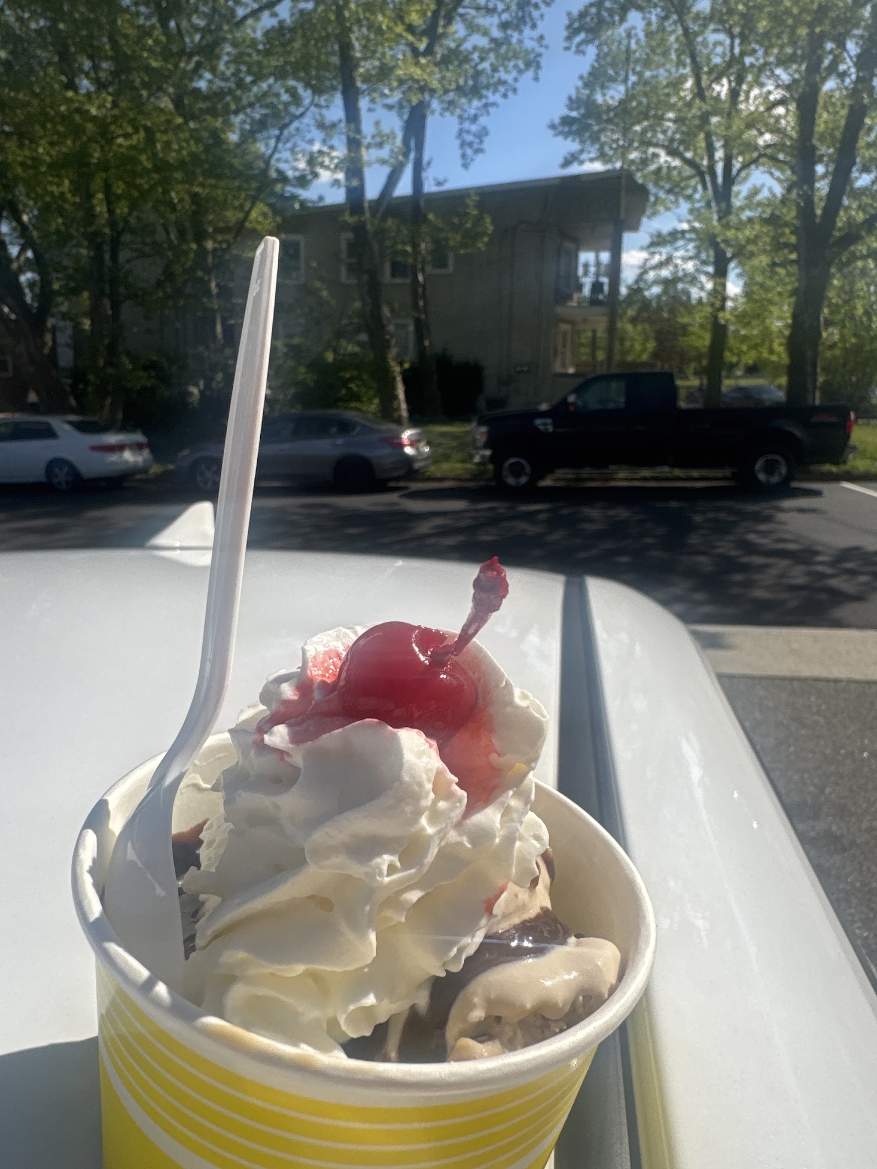 Fajji's Homemade Ice Cream photo