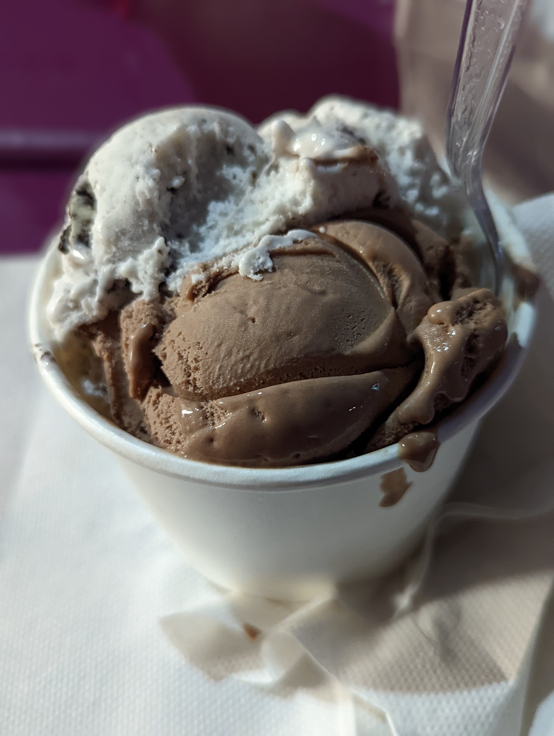 Bradley’s Beach Plum photo