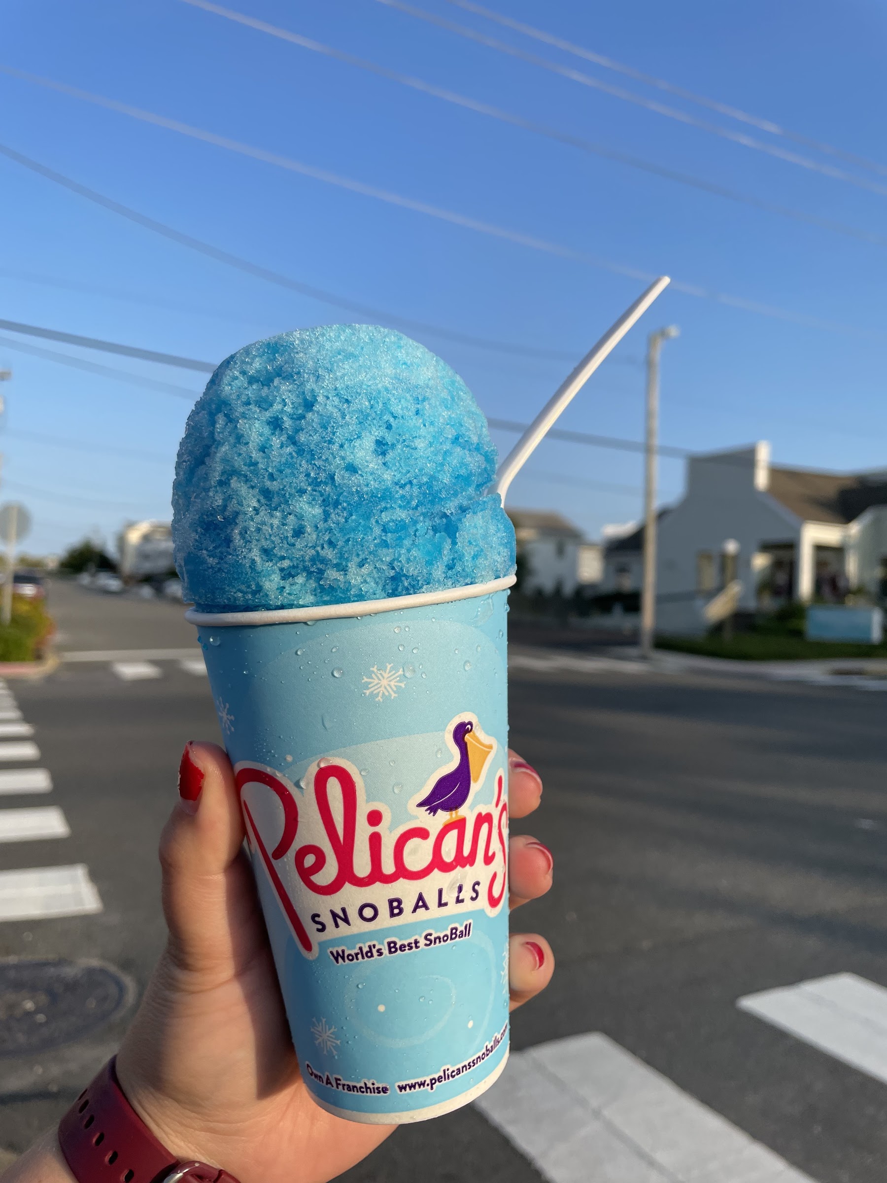 Pelican's Snoballs photo