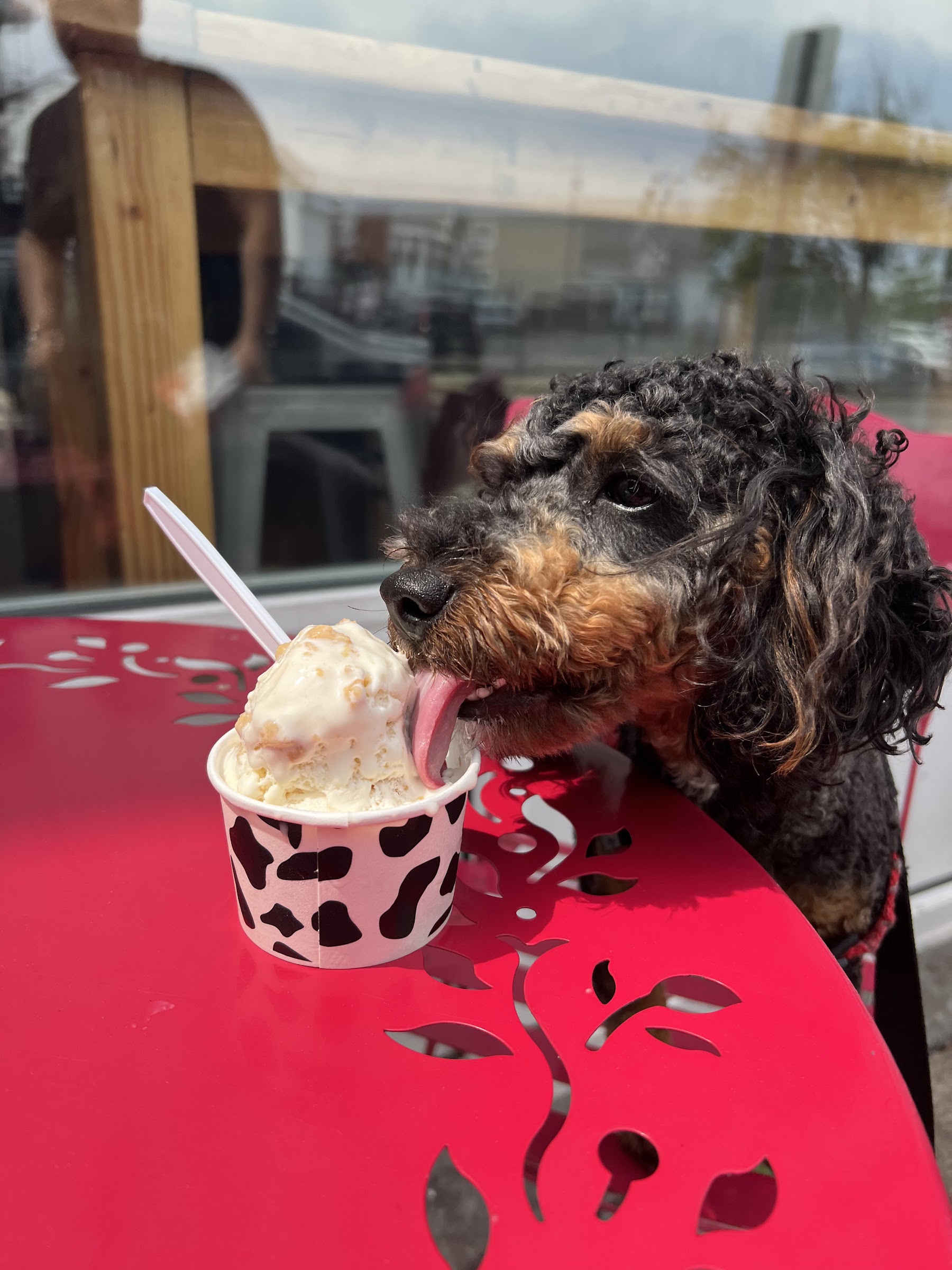 Falls Creamery photo