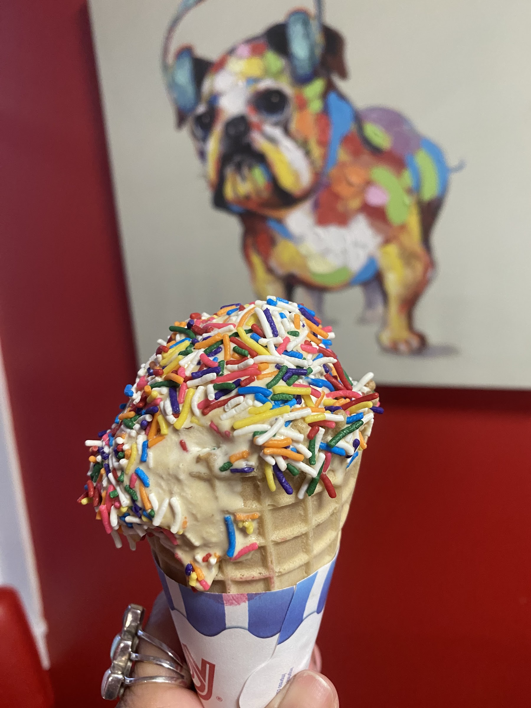 Vincent's Homemade Ice Cream