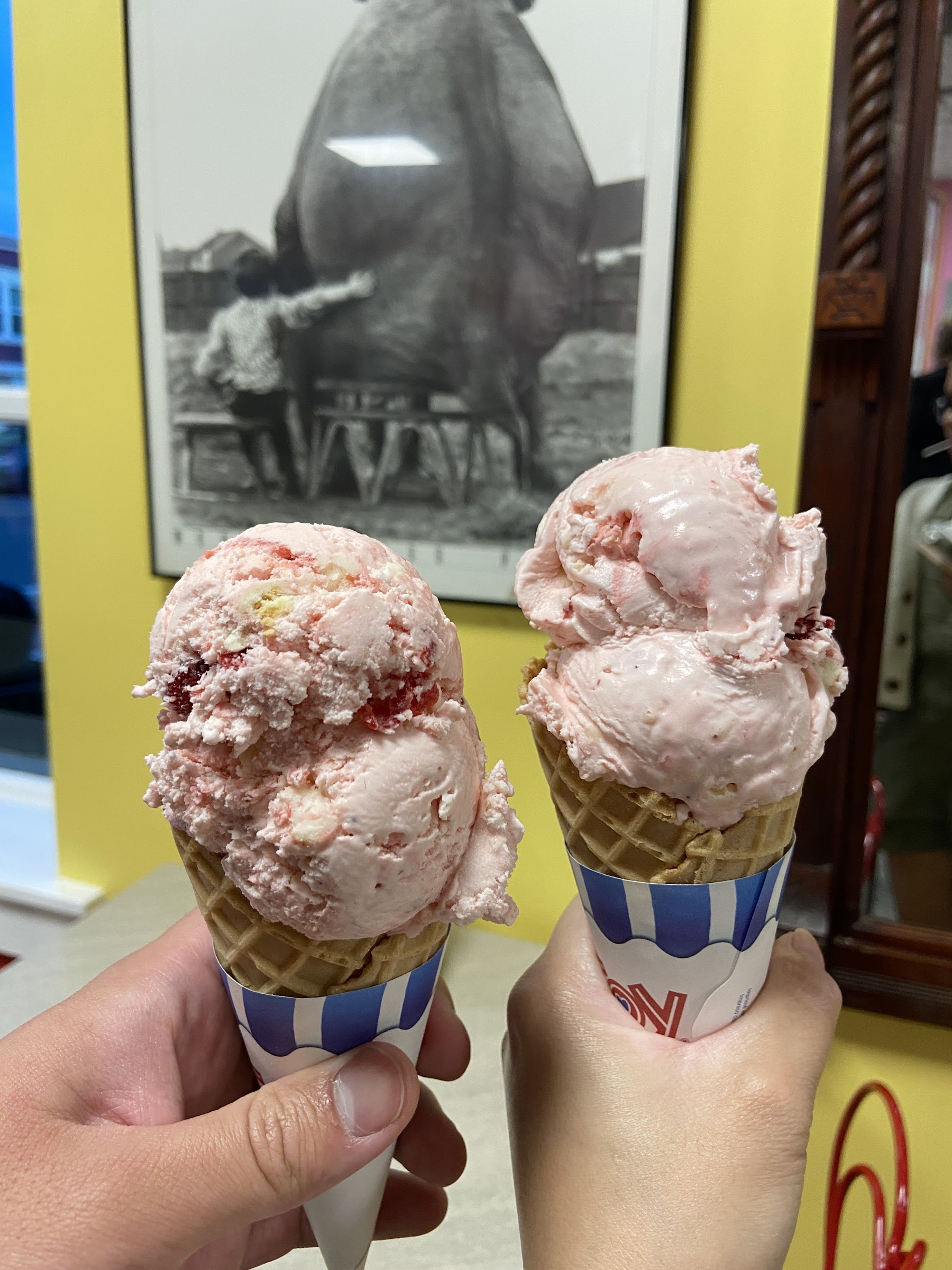 Vincent's Homemade Ice Cream photo