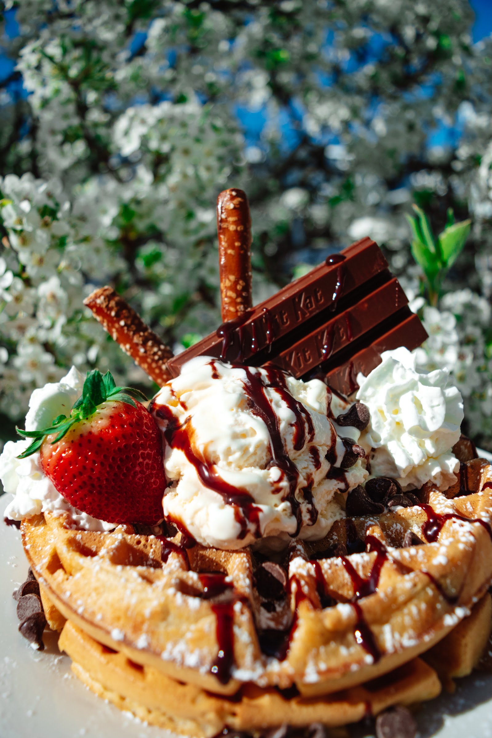 Johnny B Goode Ice Cream Parlor, Coffee Bistro and Fudge Shop photo